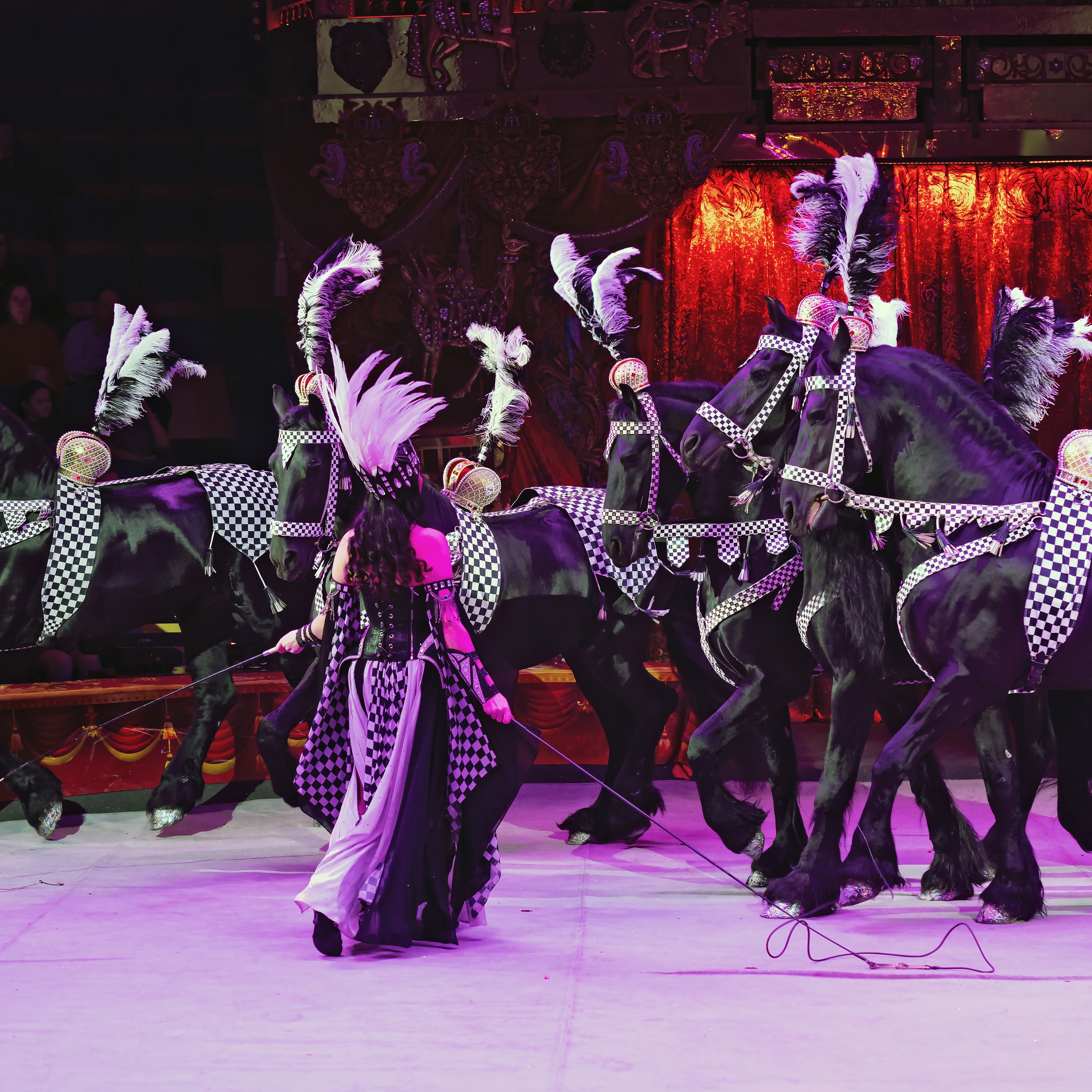 ГРАНДИОЗНОЕ ЦИРКОВОЕ ШОУ ЗАСЛУЖЕННОГО АРТИСТА РОССИИ ГИИ ЭРАДЗЕ. Фотограф Андрей Пухов (Jazz)