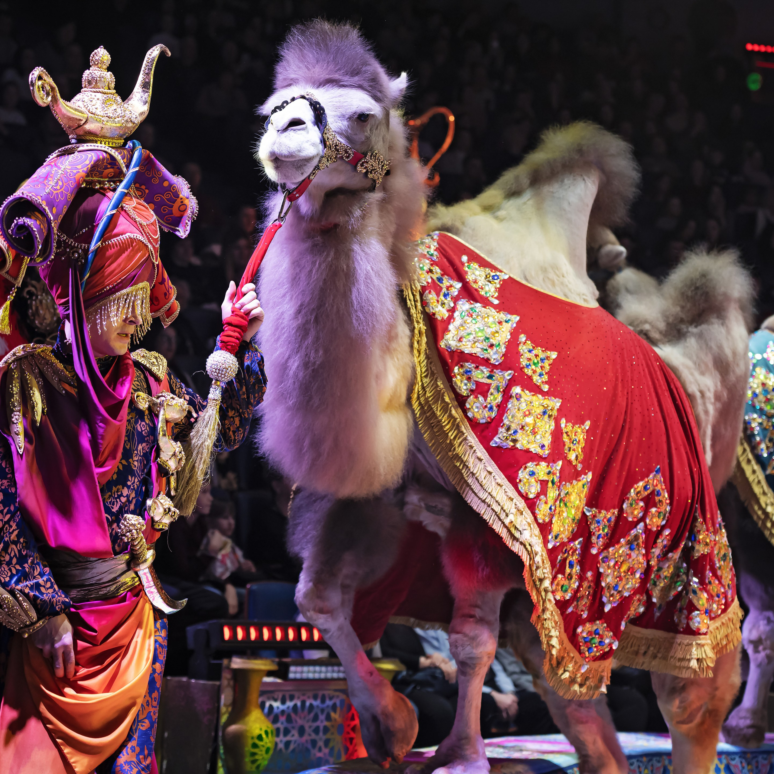 Песчаная сказка — Нижегородский Государственный Цирк (Премьера). Цирковой фотограф Андрей Пухов (Jazz)
