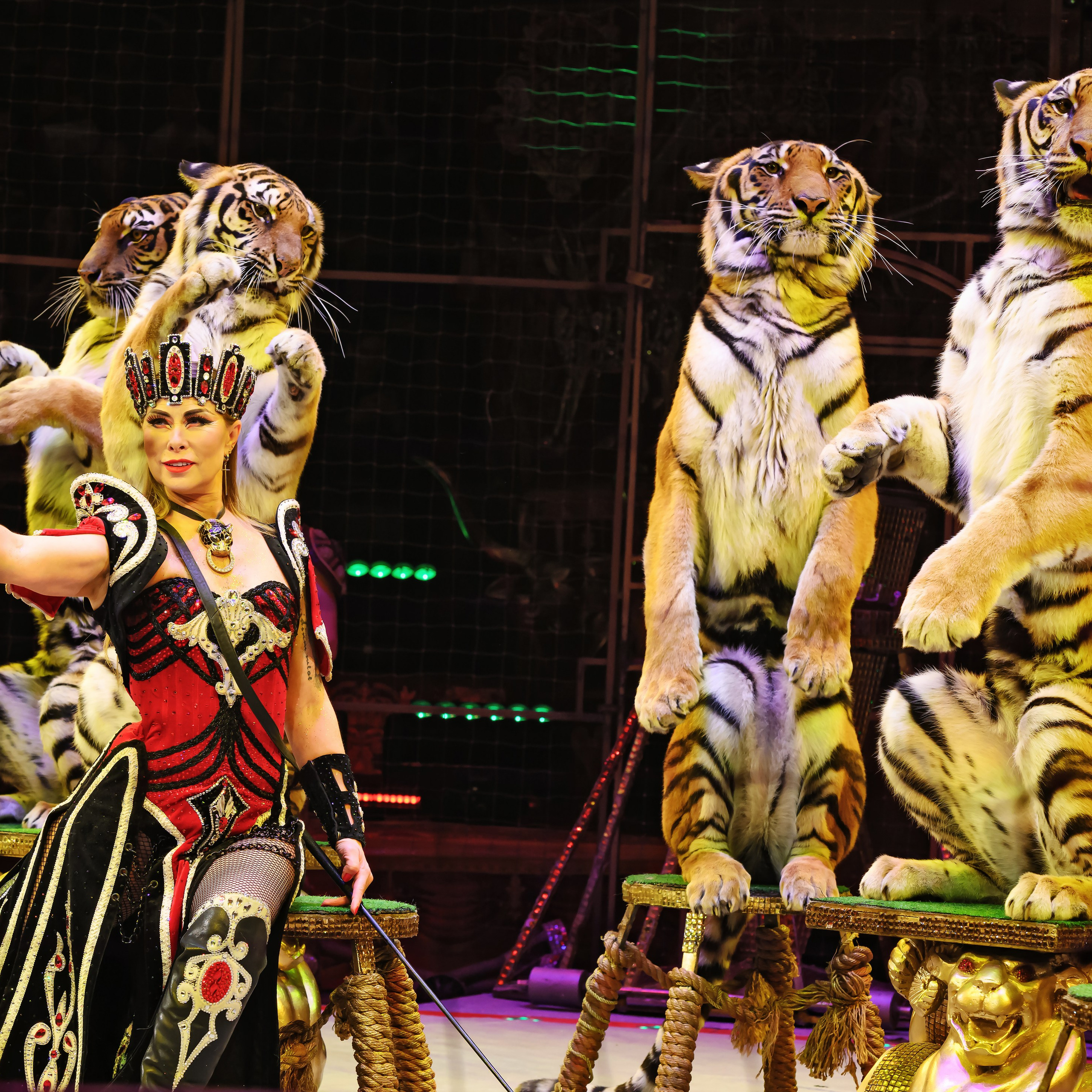 Шоу «Королевский цирк». Фотограф Андрей Пухов (Jazz)