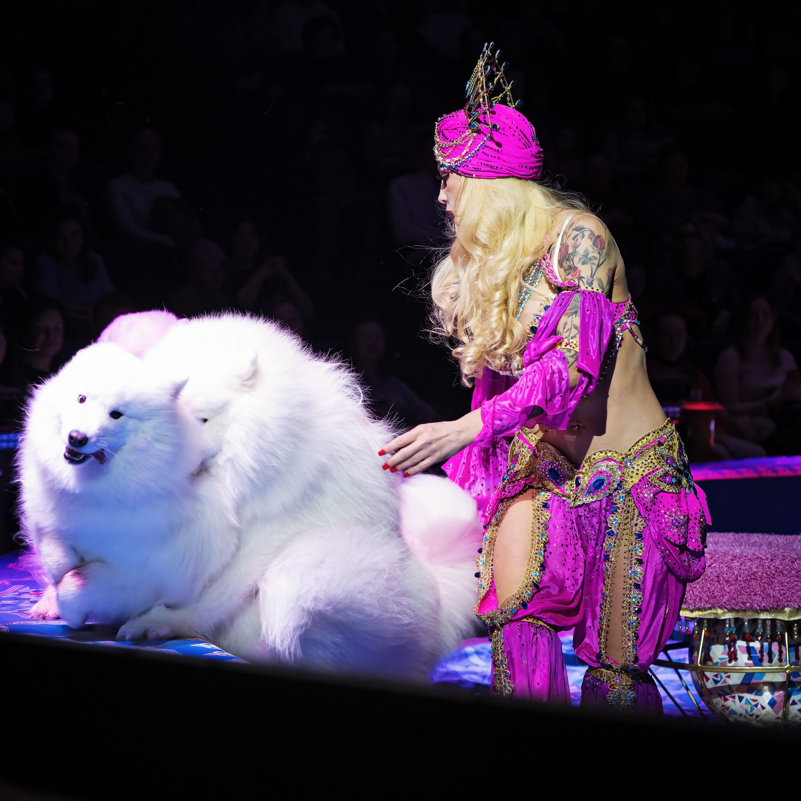 Песчаная сказка — Нижегородский Государственный Цирк (Премьера). Цирковой фотограф Андрей Пухов (Jazz)