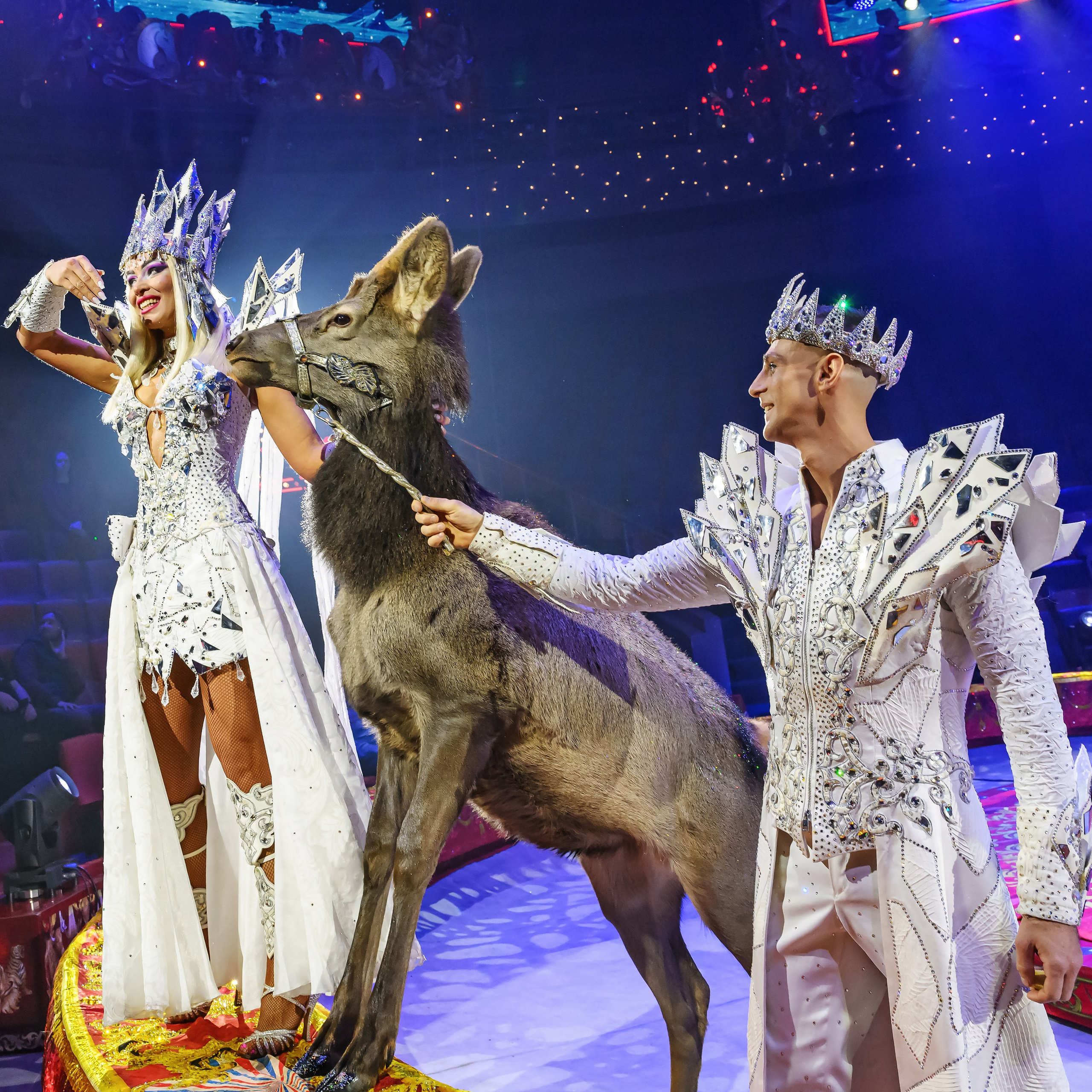 Пресс показ «Королевский цирк». Фотограф Андрей Пухов (Jazz)