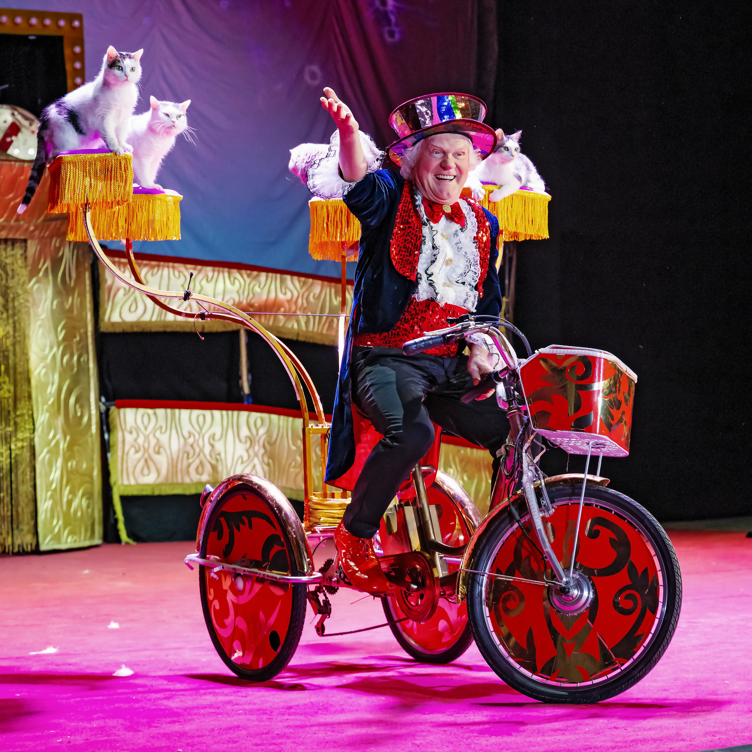 Великий клоун, Народный артист России, Юрий Куклачёв со звёздами эстрады и цирка, уникальный бенефис!. Фотограф Андрей Пухов (Jazz)