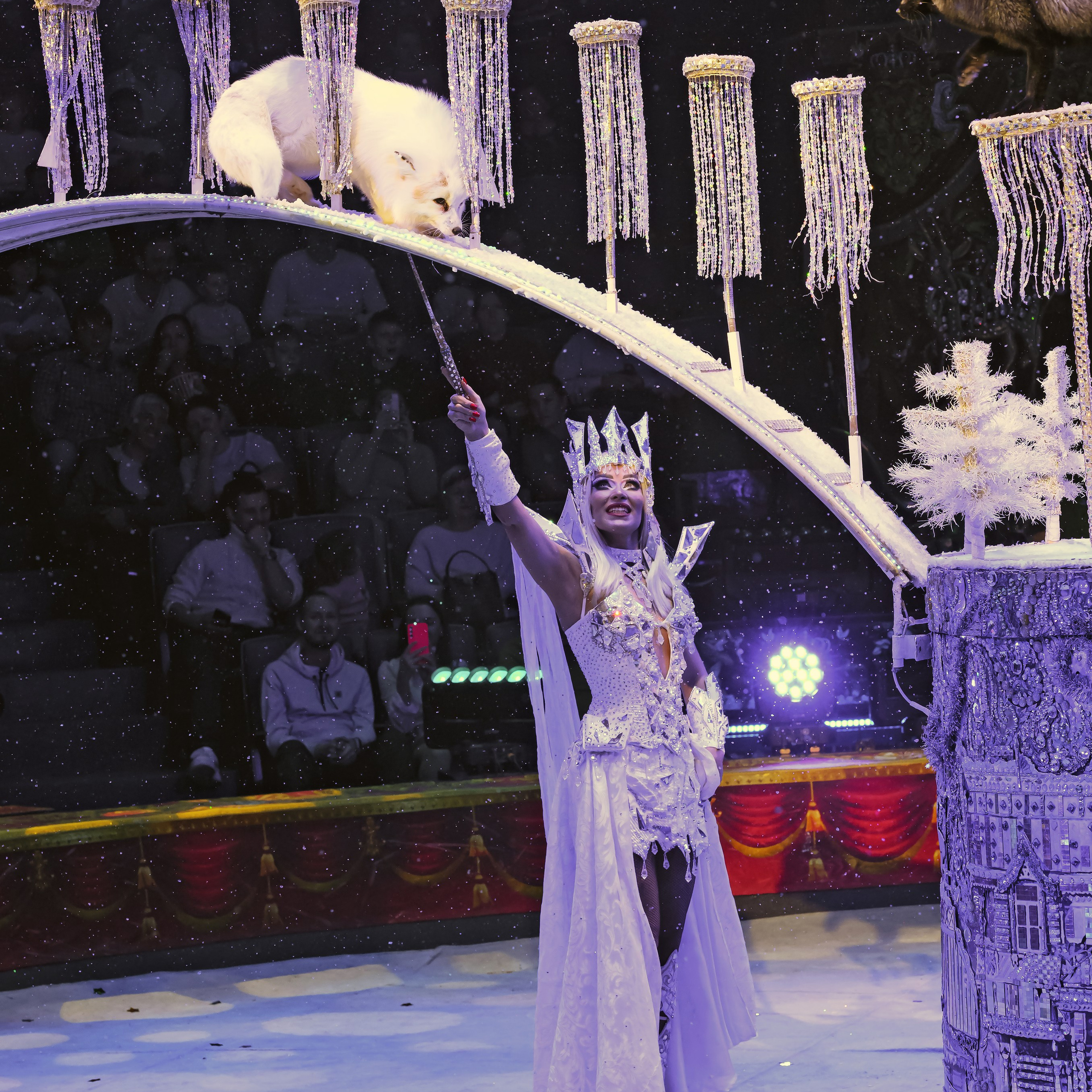 ГРАНДИОЗНОЕ ЦИРКОВОЕ ШОУ ЗАСЛУЖЕННОГО АРТИСТА РОССИИ ГИИ ЭРАДЗЕ. Фотограф Андрей Пухов (Jazz)