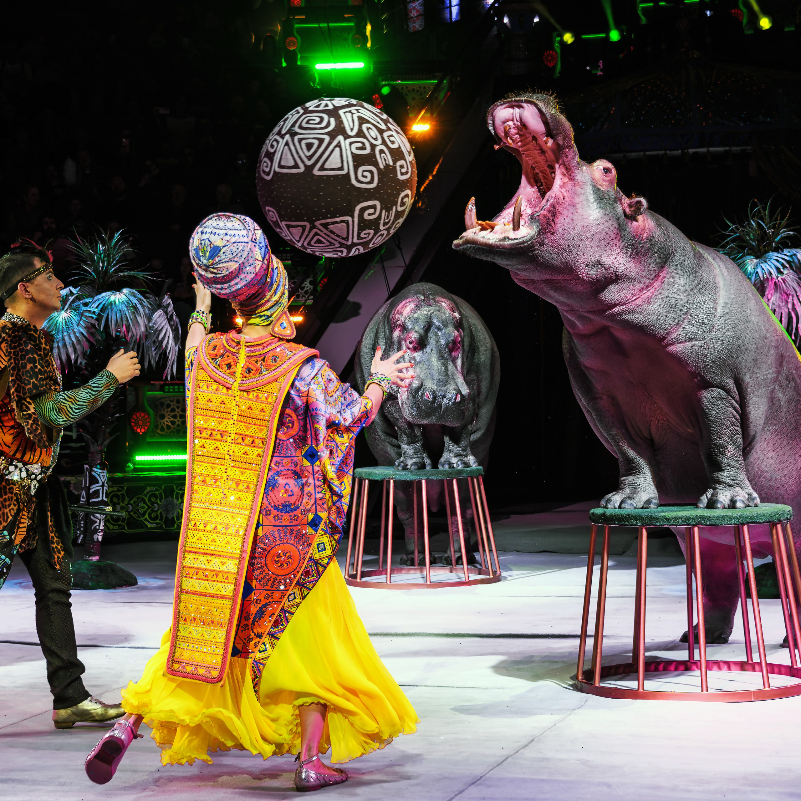 Песчаная сказка Гии Эрадзе — волшебное шоу 🎪, которое должен увидеть каждый, кто ценит красоту🌹, талант 🎭 и умение мечтать 💫. Цирковой фотограф Андрей Пухов (Jazz)