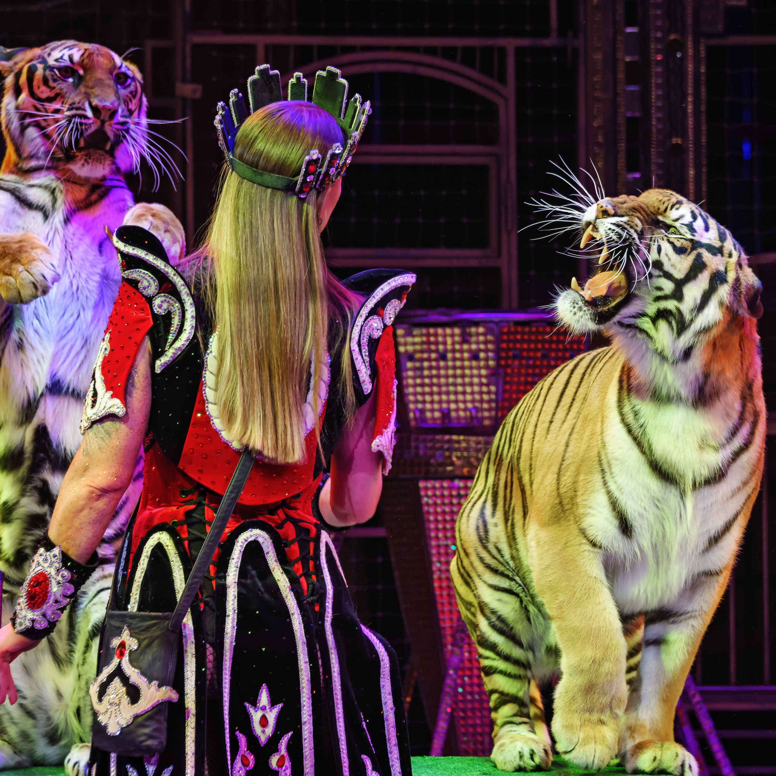 Вечное искусство удивлять: Королевский цирк Гии Эрадзе 👑 Роскошь здесь в каждой детали 💫✨⭐. Фотограф Андрей Пухов (Jazz)