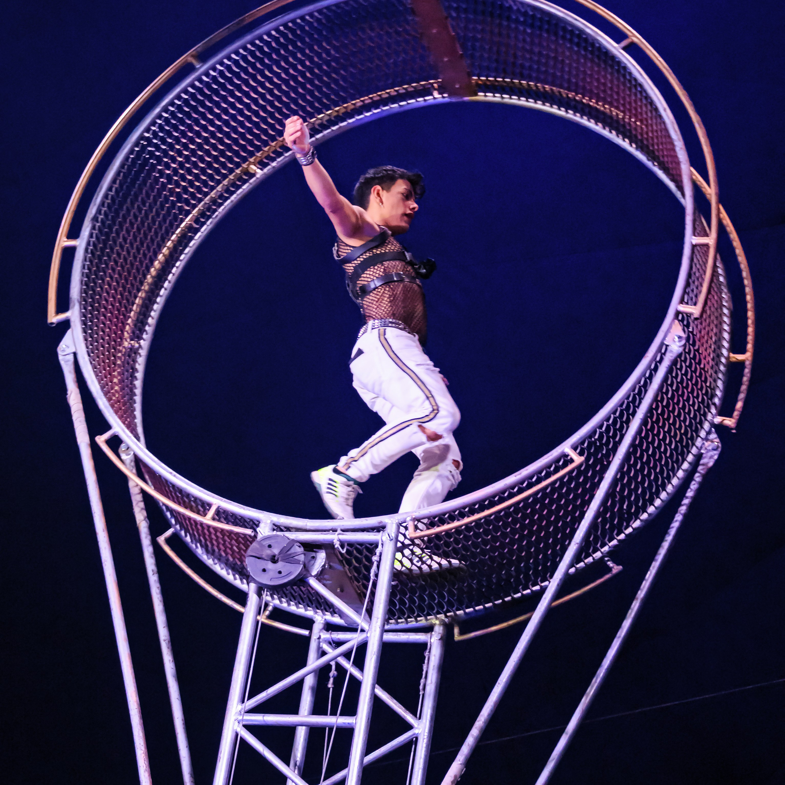 Шоу Демидовых. Цирковой фотограф Андрей Пухов (Jazz)