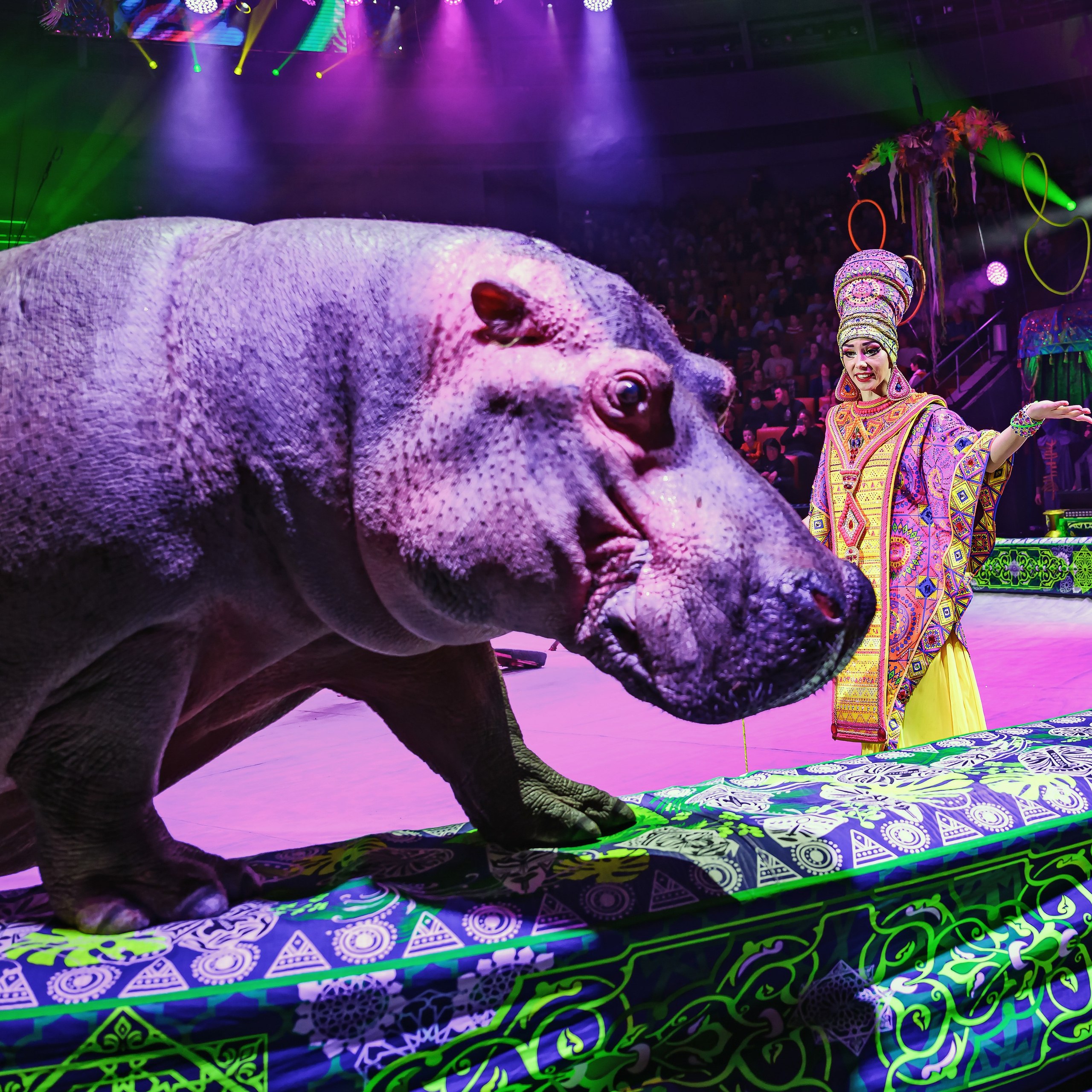 Песчаная сказка — Нижегородский Государственный Цирк (Премьера). Цирковой фотограф Андрей Пухов (Jazz)