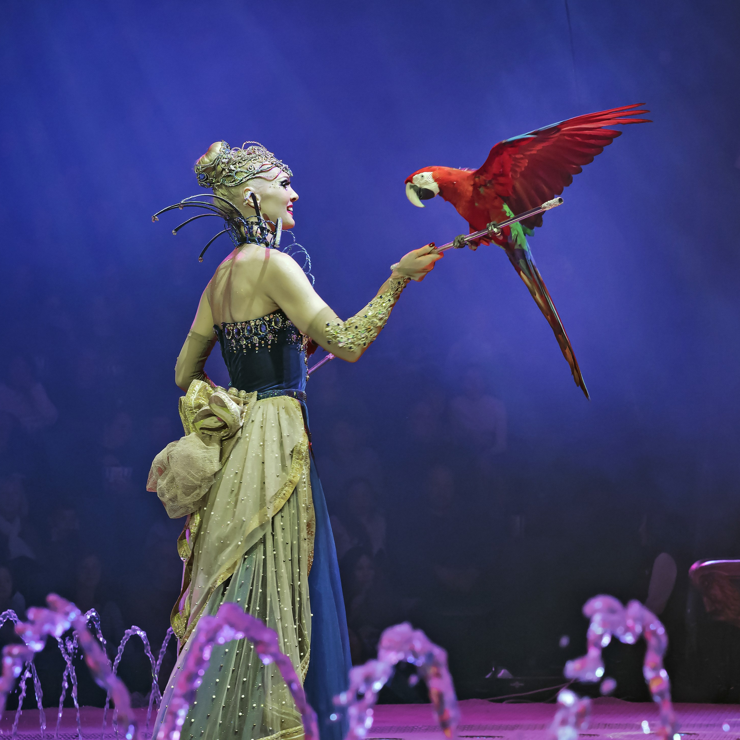 Шоу фонтанов «Принц цирка» 🎪 09.11.2024. Фотограф Андрей Пухов (Jazz)