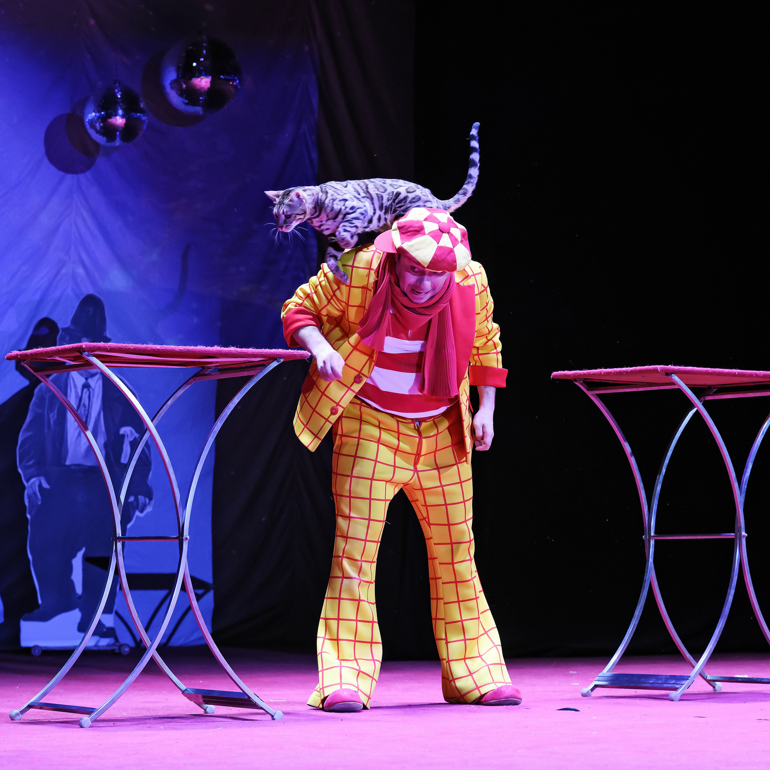 Великий клоун, Народный артист России, Юрий Куклачёв со звёздами эстрады и цирка, уникальный бенефис!. Фотограф Андрей Пухов (Jazz)