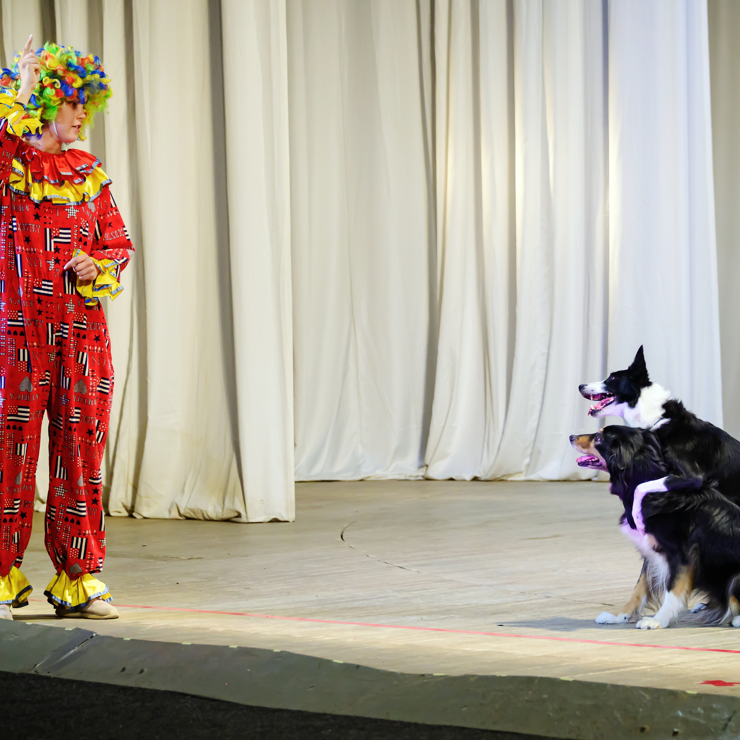 Народный коллектив, цирк «Юность» ДК ГАЗ, г. Нижний Новгород 👏. Фотограф Андрей Пухов (Jazz)