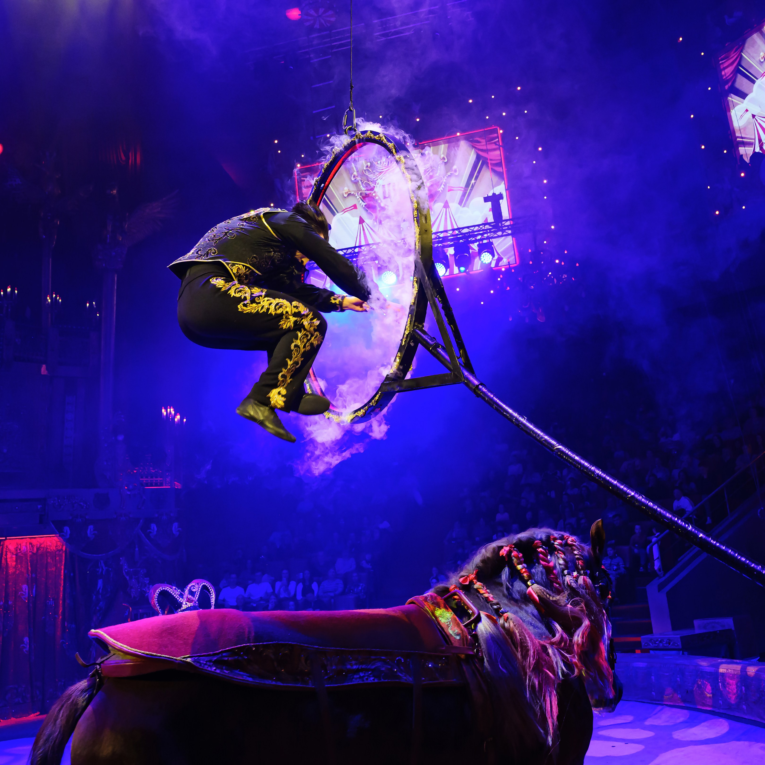 Royal Circus (новые номера). Фотограф Андрей Пухов (Jazz)