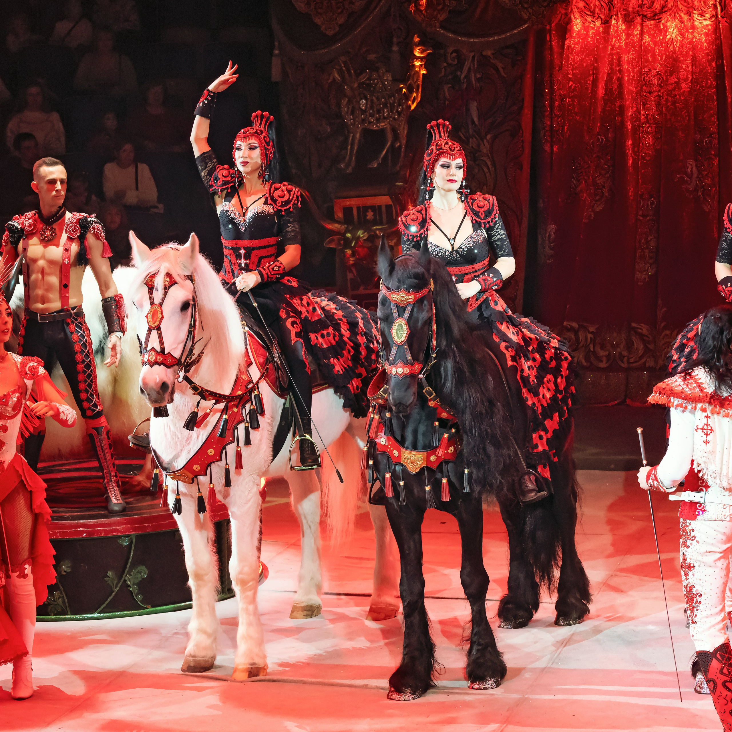 Королевский цирк ПРЕМЬЕРА НН. Фотограф Андрей Пухов (Jazz)