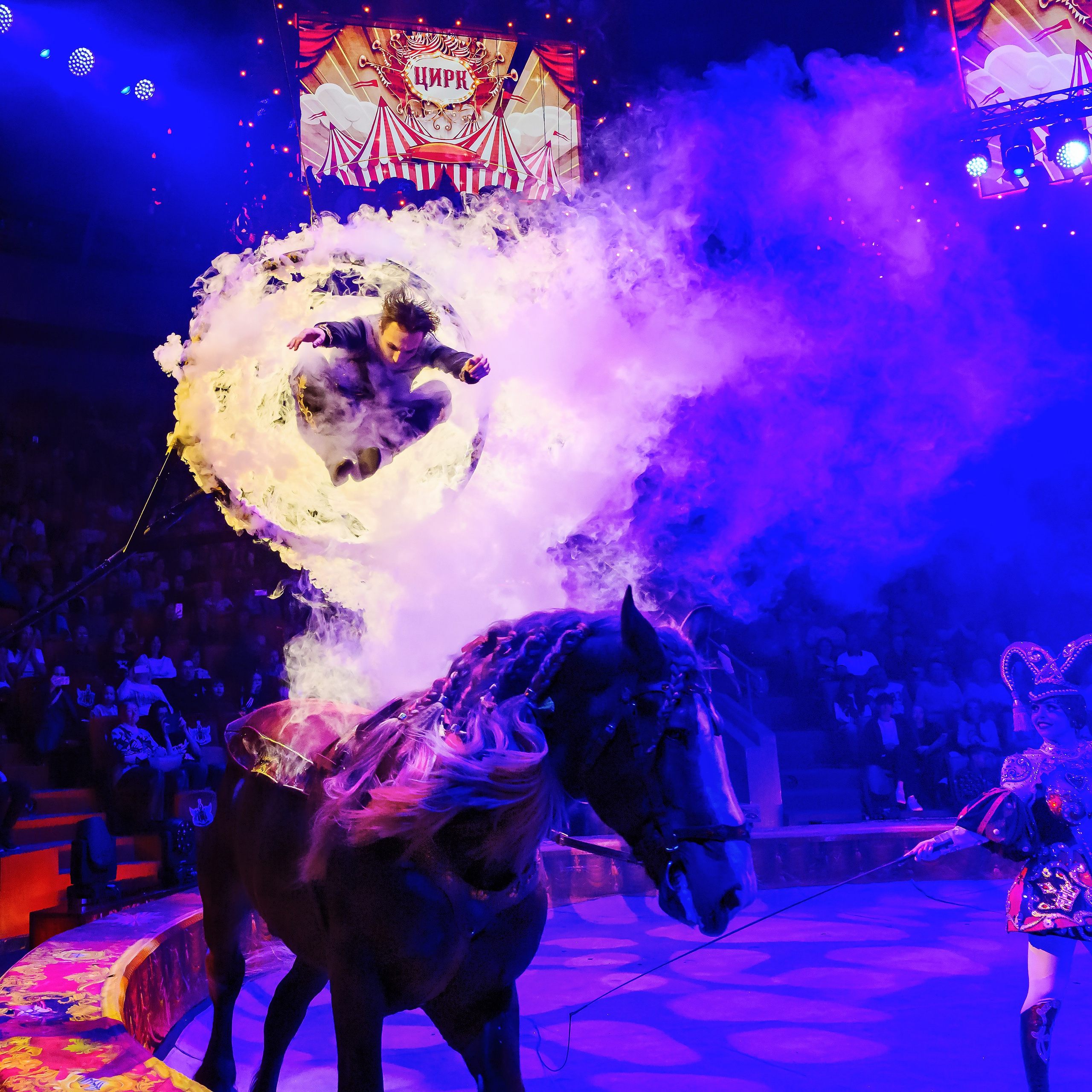 Royal Circus (новые номера). Фотограф Андрей Пухов (Jazz)