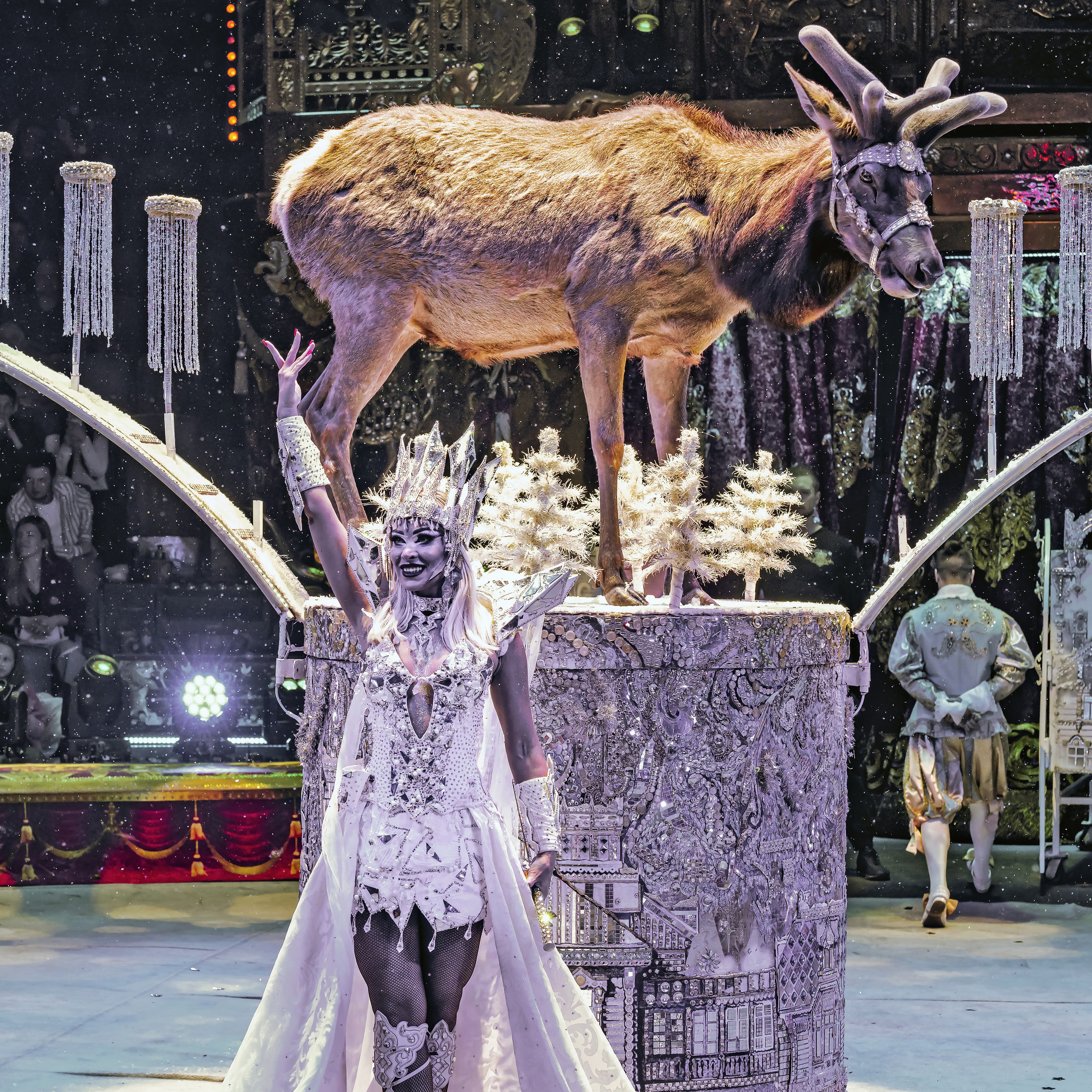 Шоу «Королевский цирк». Фотограф Андрей Пухов (Jazz)