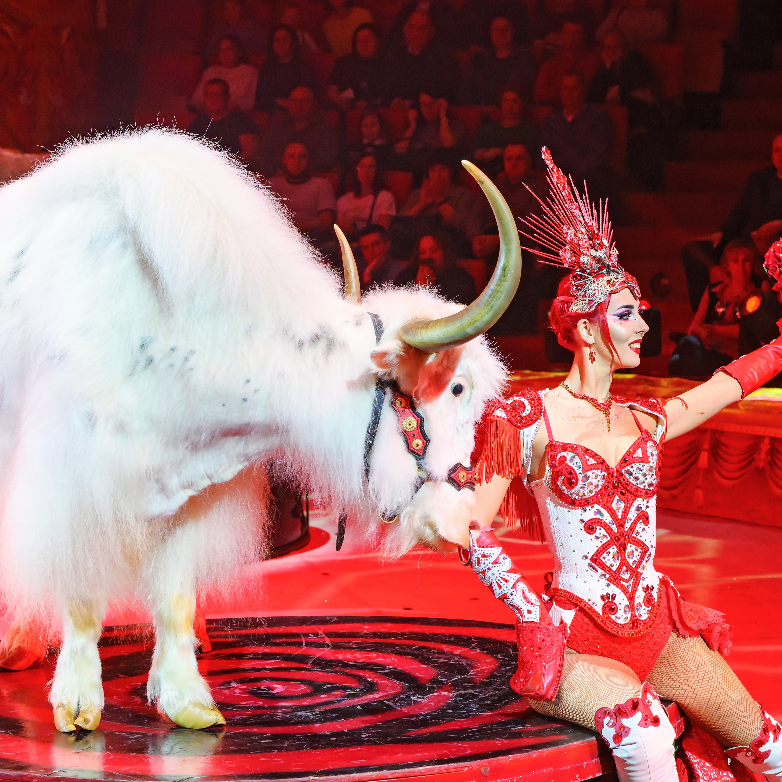 ГРАНДИОЗНОЕ ЦИРКОВОЕ ШОУ ЗАСЛУЖЕННОГО АРТИСТА РОССИИ ГИИ ЭРАДЗЕ. Фотограф Андрей Пухов (Jazz)