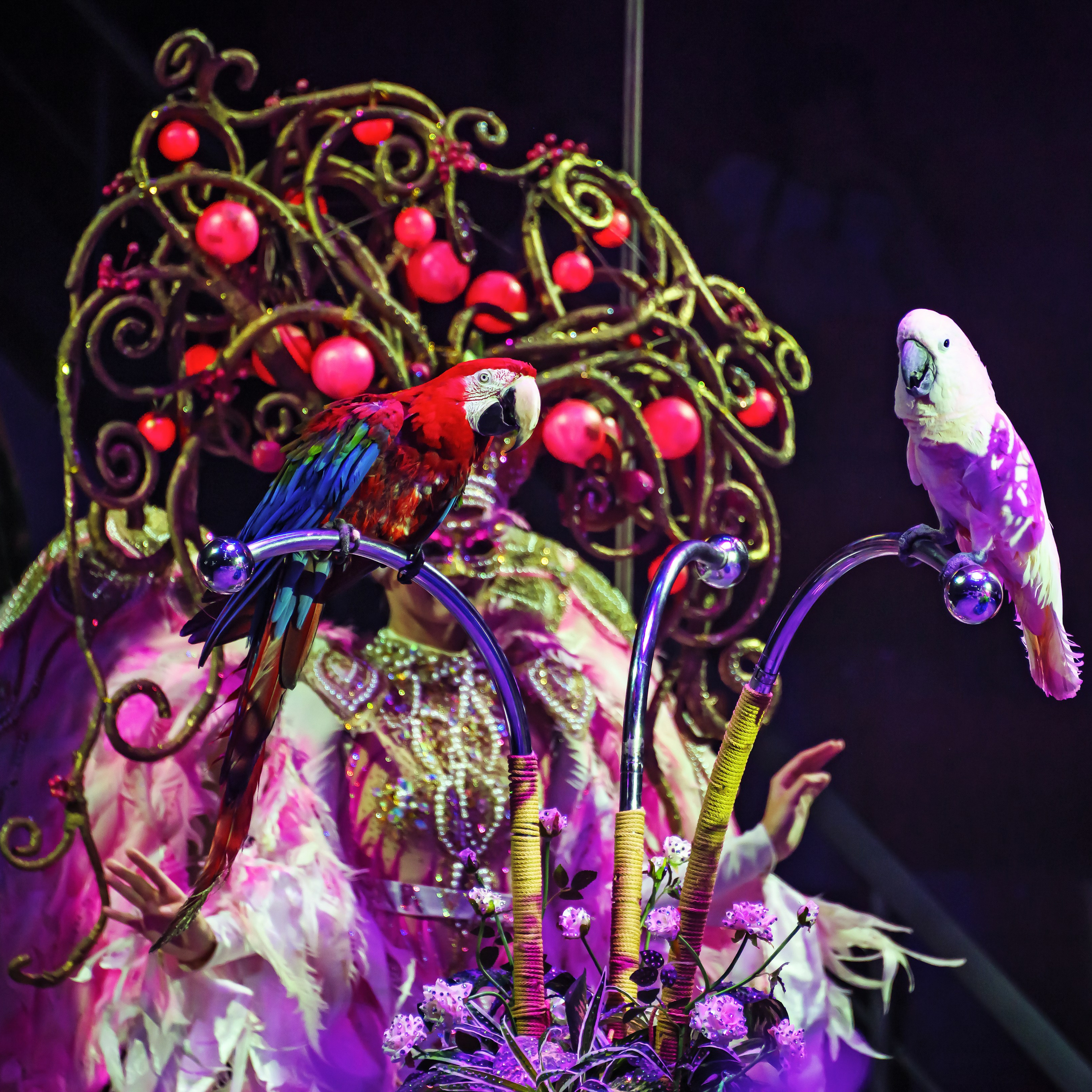 🎪 «Цирк на воде💦 🏰Царство фонтанов**»✨🌊🎭. Фотограф Андрей Пухов (Jazz)