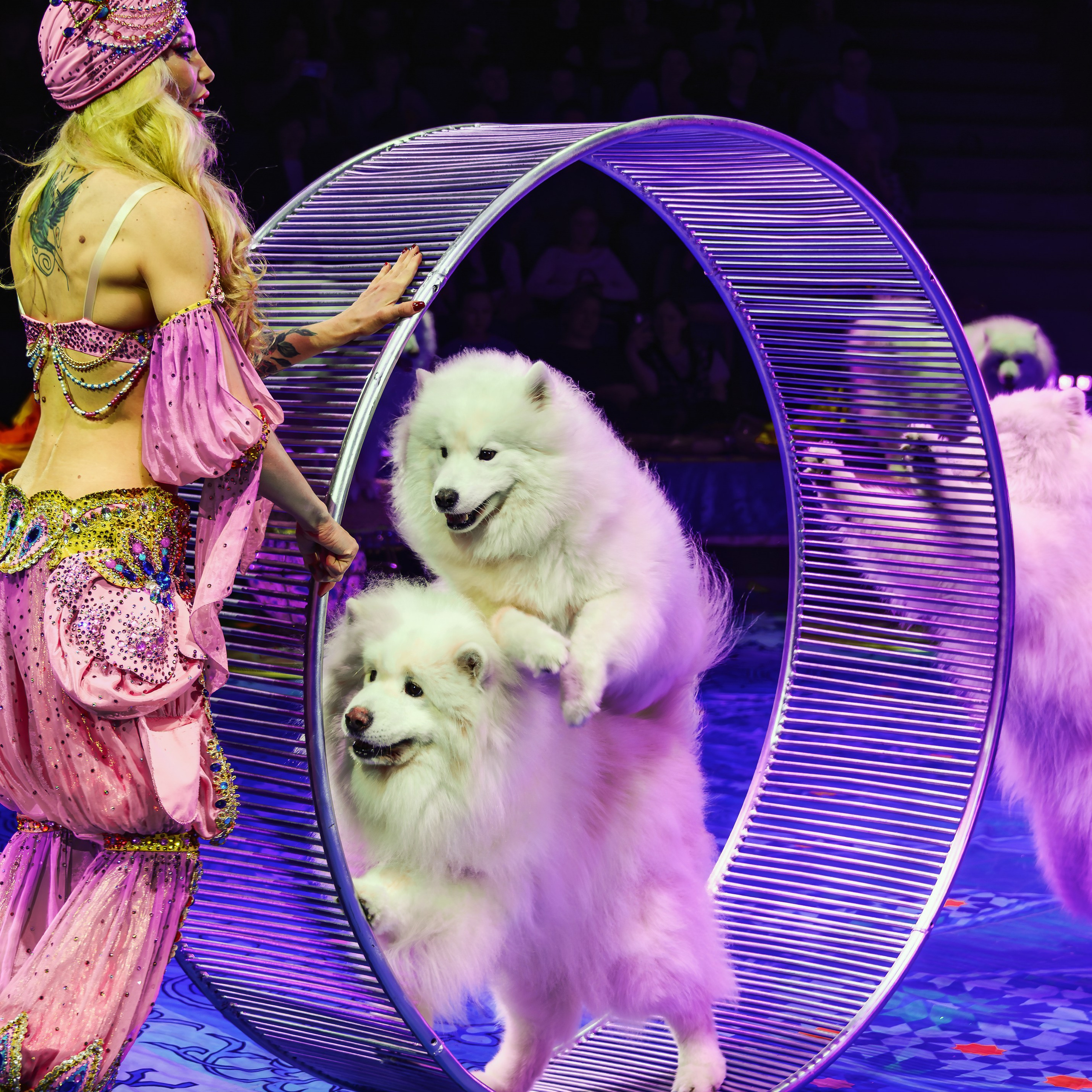 Песчаная сказка Гии Эрадзе — волшебное шоу 🎪, которое должен увидеть каждый, кто ценит красоту🌹, талант 🎭 и умение мечтать 💫. Цирковой фотограф Андрей Пухов (Jazz)