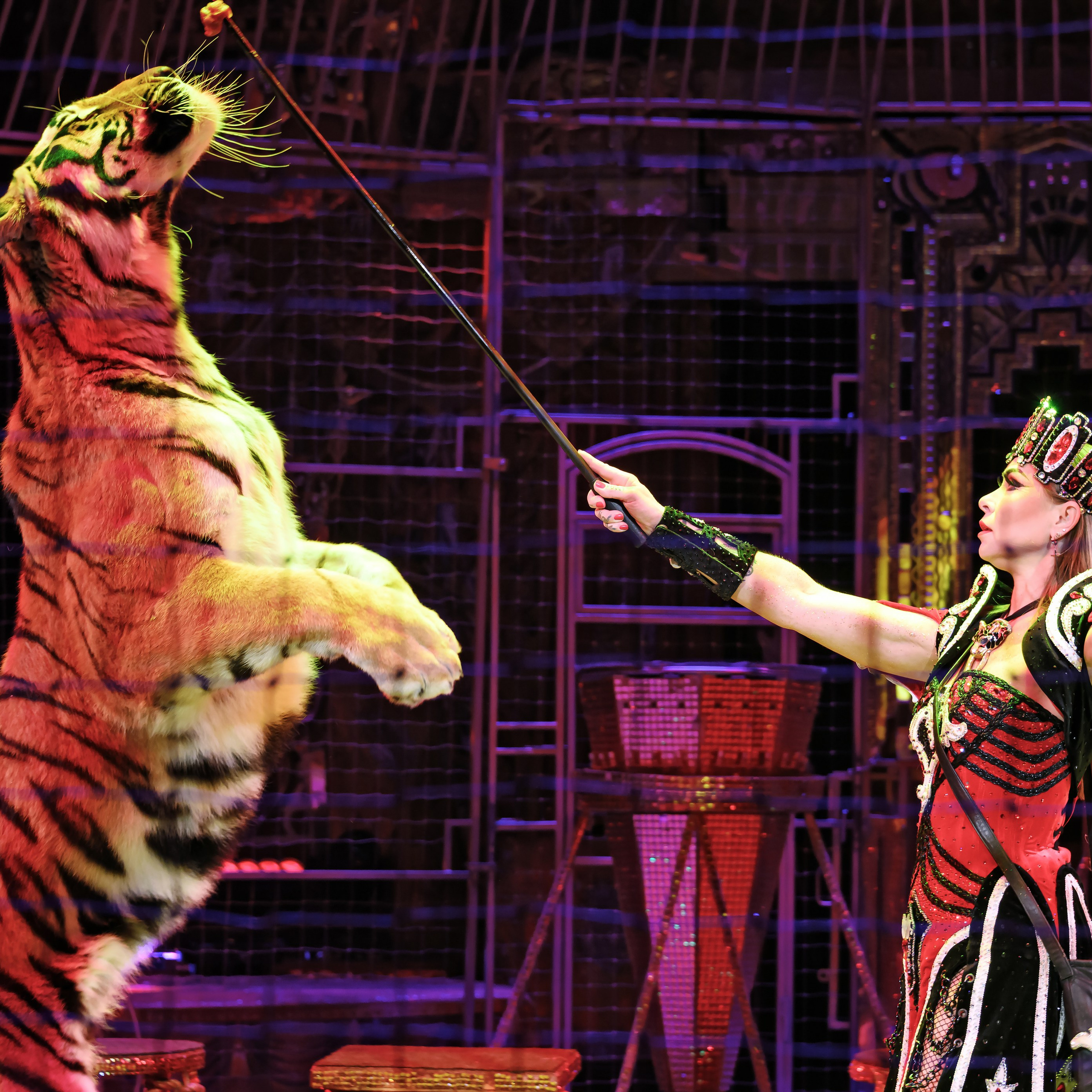 Вечное искусство удивлять: Королевский цирк Гии Эрадзе 👑 Роскошь здесь в каждой детали 💫✨⭐. Фотограф Андрей Пухов (Jazz)