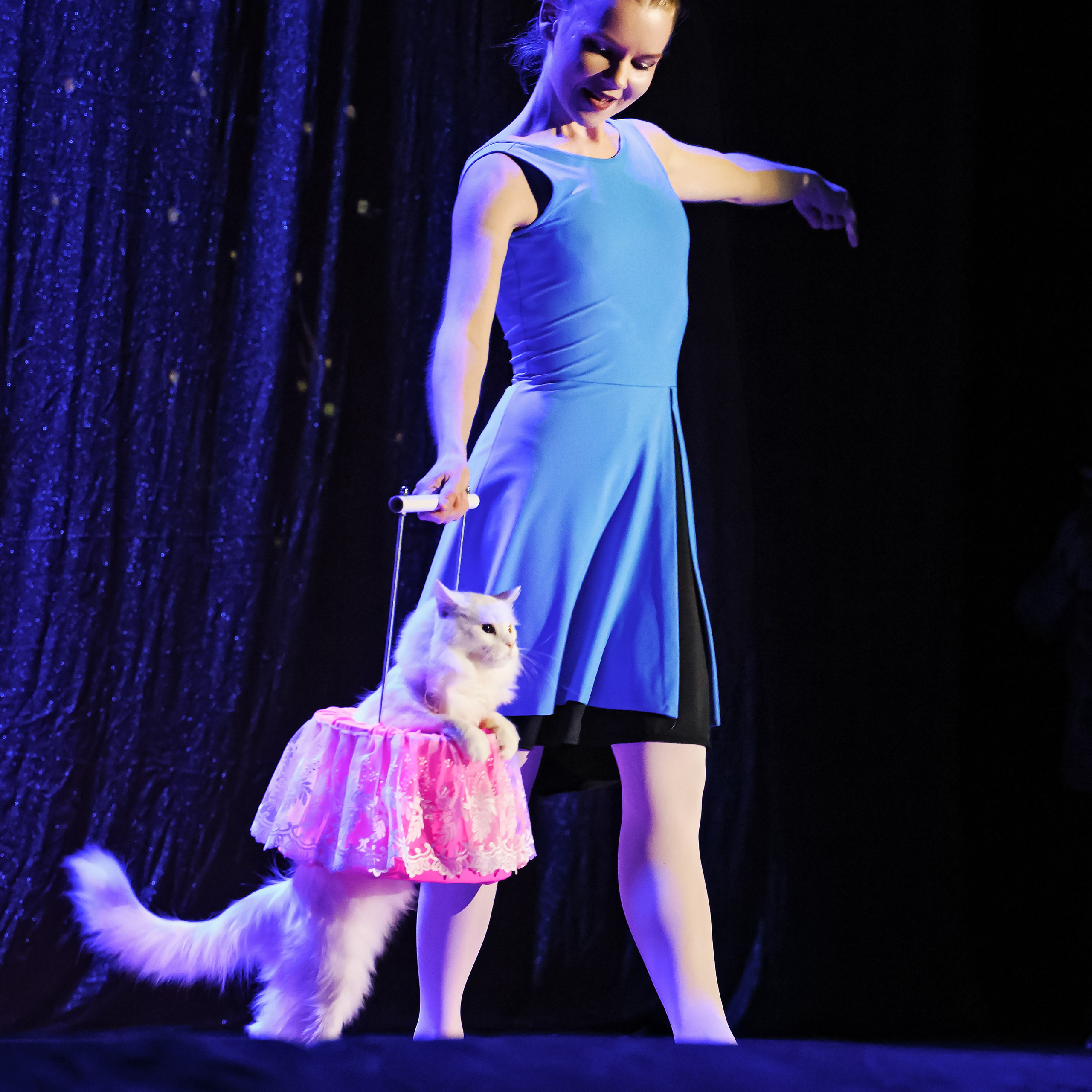 Великий клоун, Народный артист России, Юрий Куклачёв со звёздами эстрады и цирка, уникальный бенефис!. Фотограф Андрей Пухов (Jazz)