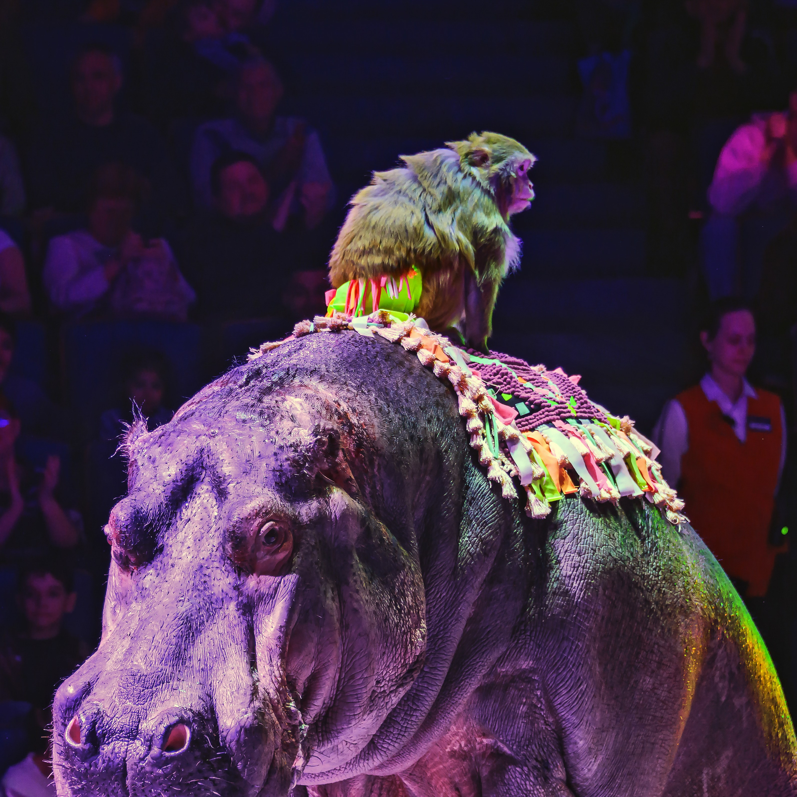 Песчаная сказка Гии Эрадзе — волшебное шоу 🎪, которое должен увидеть каждый, кто ценит красоту🌹, талант 🎭 и умение мечтать 💫. Цирковой фотограф Андрей Пухов (Jazz)