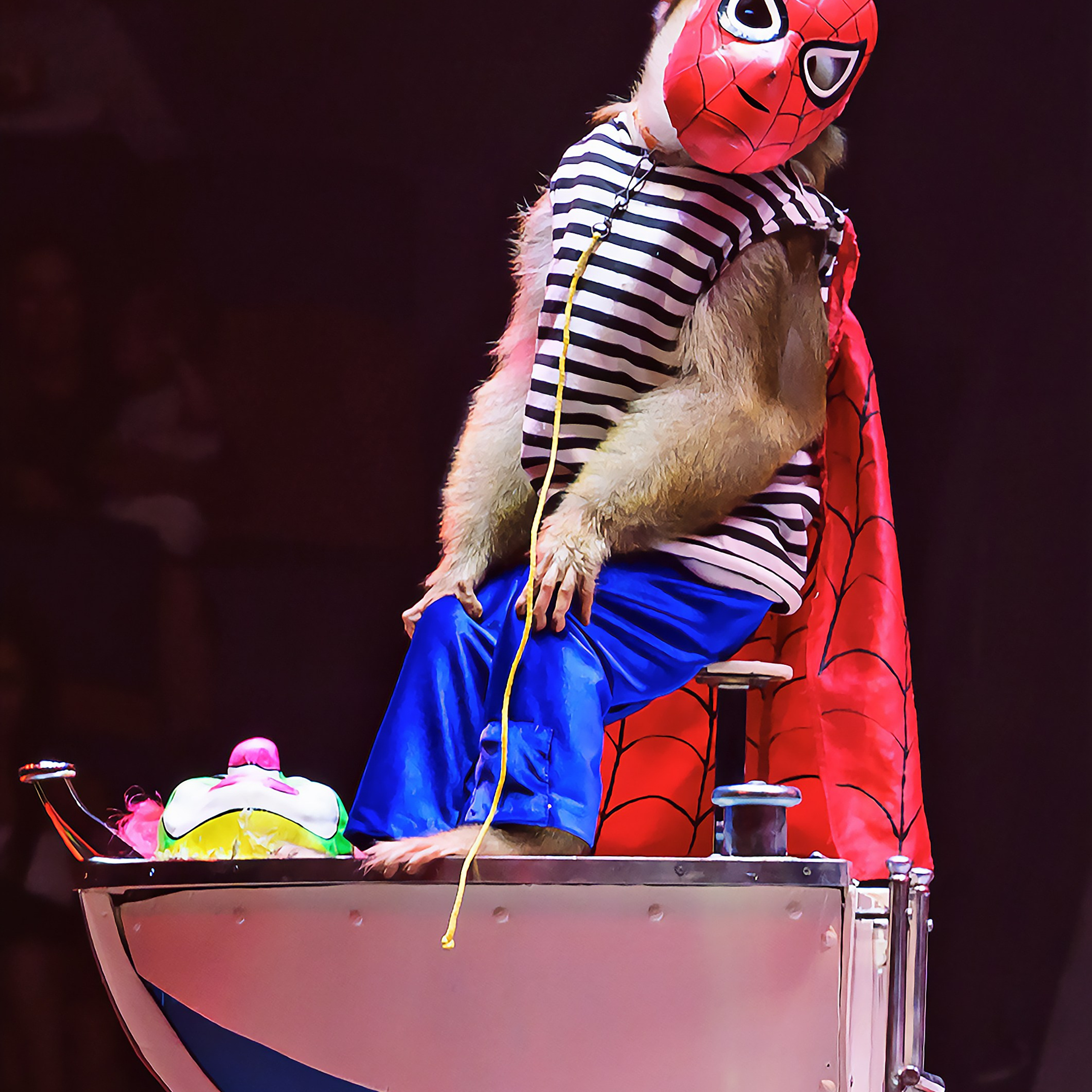 🍭Вкусное шоу «WOW»🍫. Фотограф Андрей Пухов (Jazz)