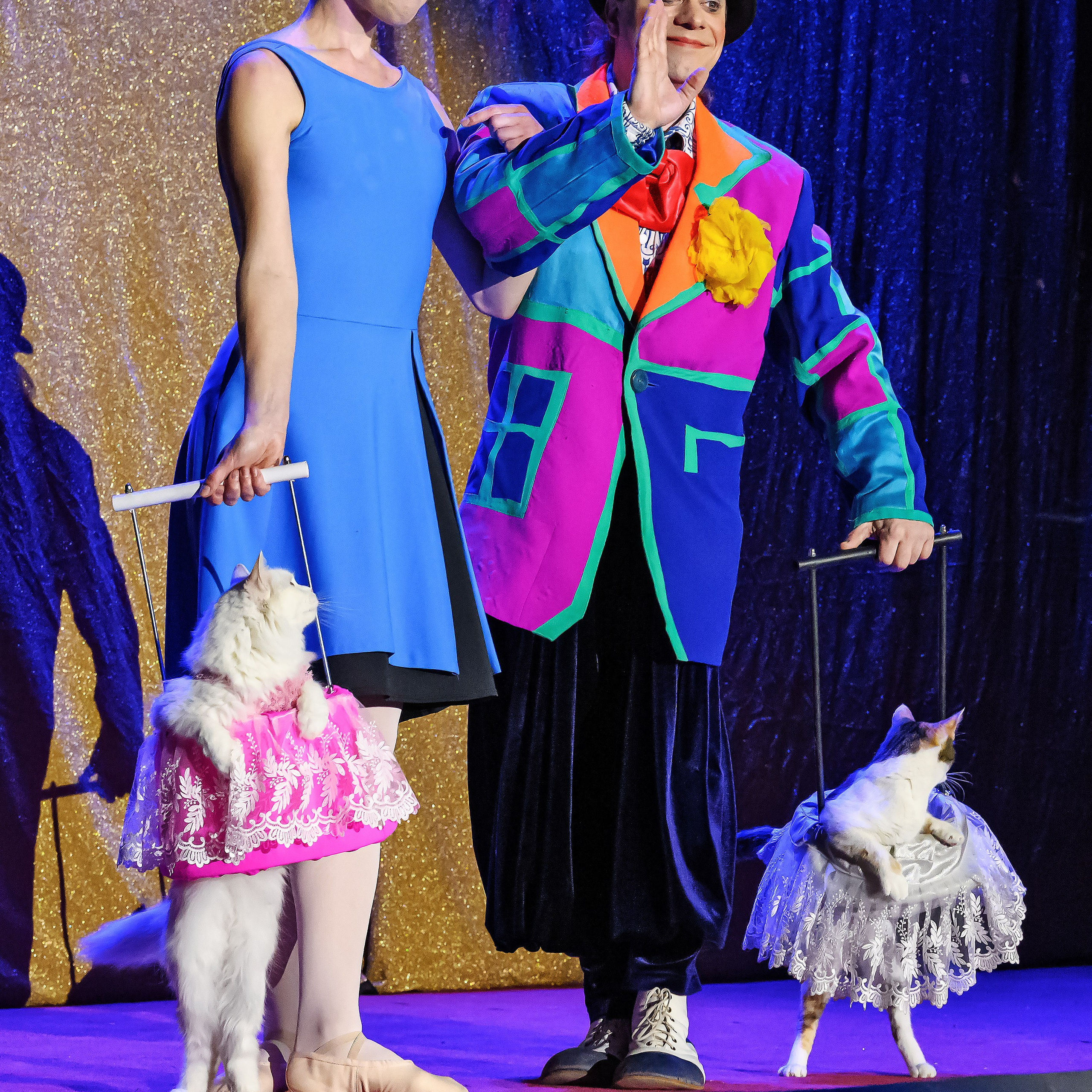 Великий клоун, Народный артист России, Юрий Куклачёв со звёздами эстрады и цирка, уникальный бенефис!. Фотограф Андрей Пухов (Jazz)