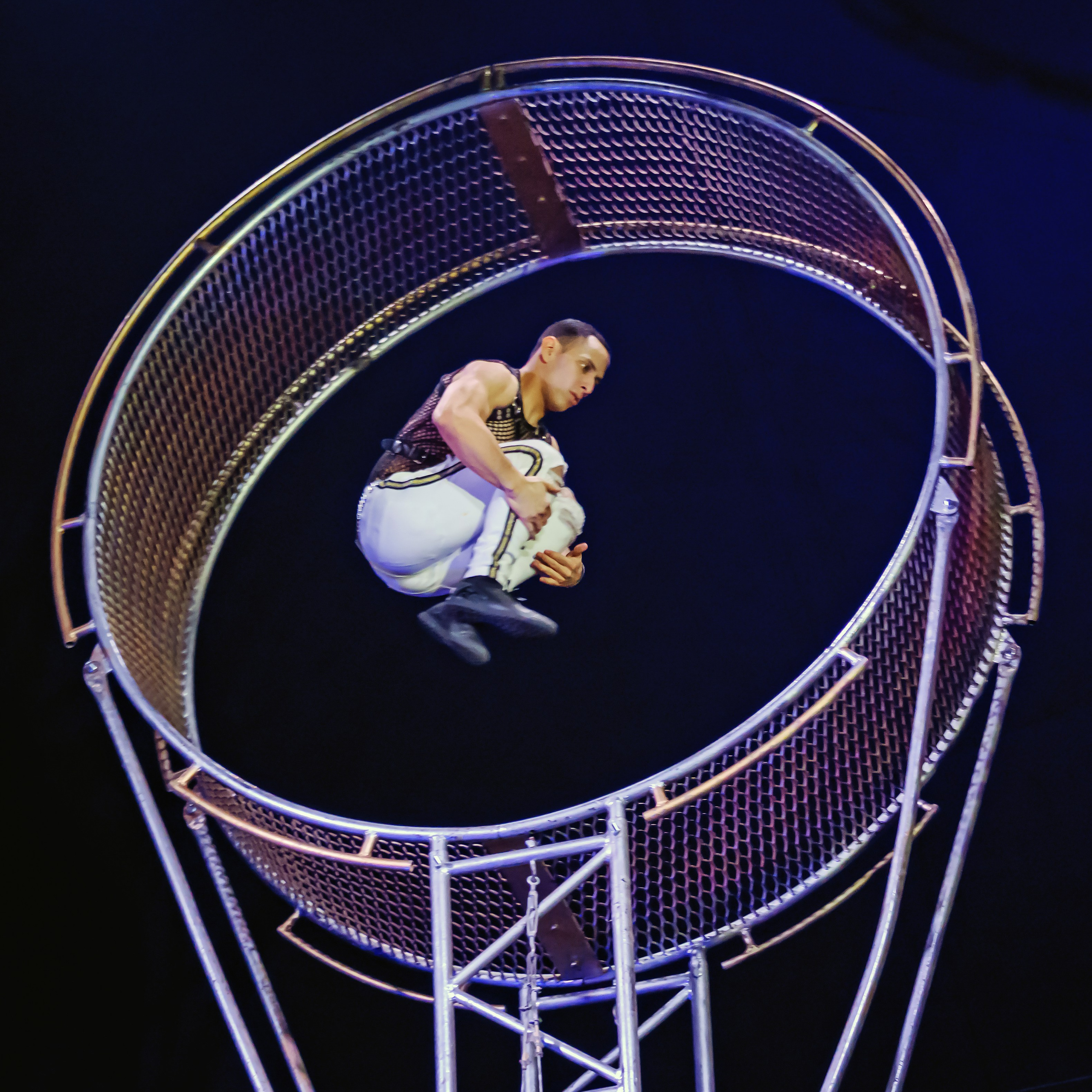 Шоу Демидовых. Цирковой фотограф Андрей Пухов (Jazz)