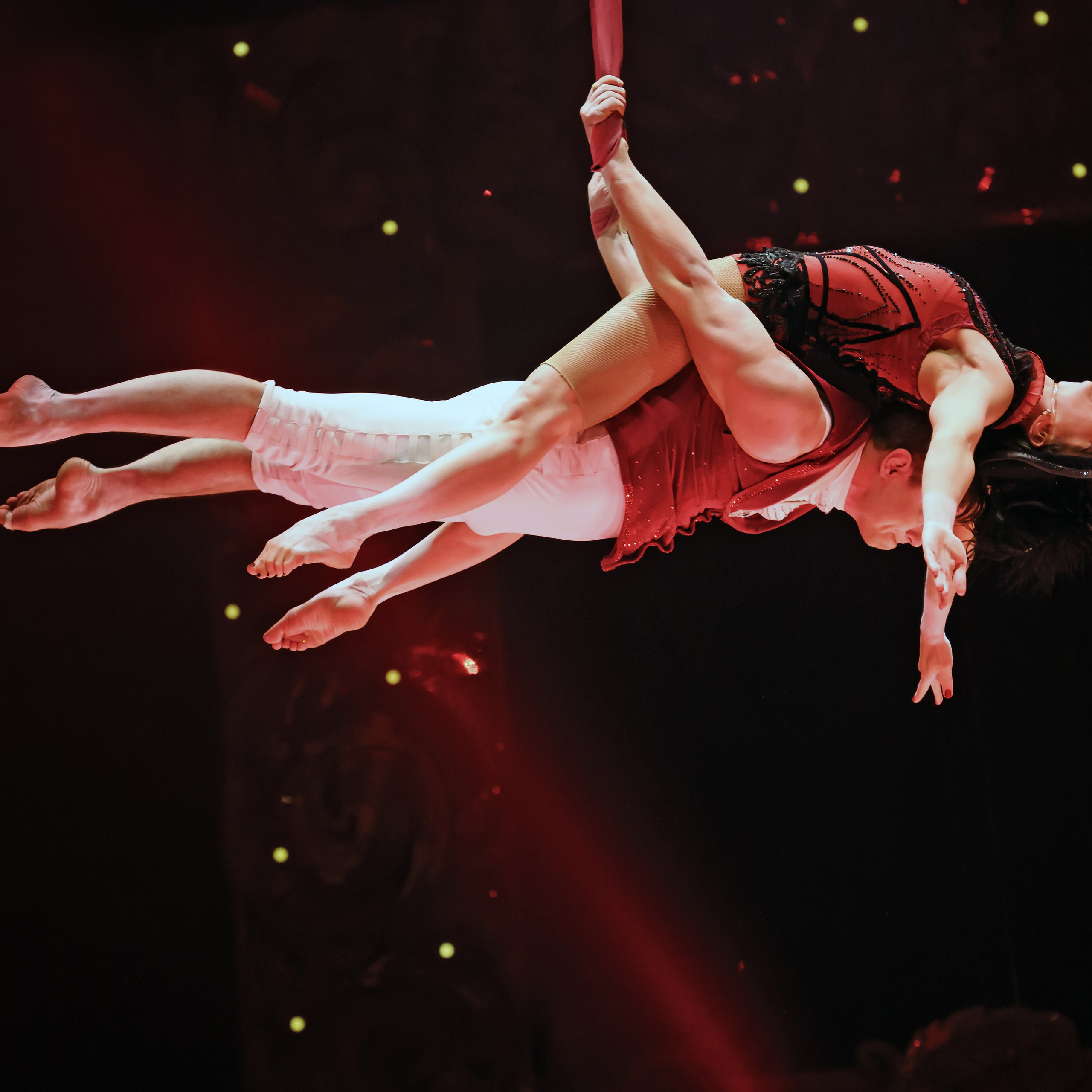 ГРАНДИОЗНОЕ ЦИРКОВОЕ ШОУ ЗАСЛУЖЕННОГО АРТИСТА РОССИИ ГИИ ЭРАДЗЕ. Фотограф Андрей Пухов (Jazz)