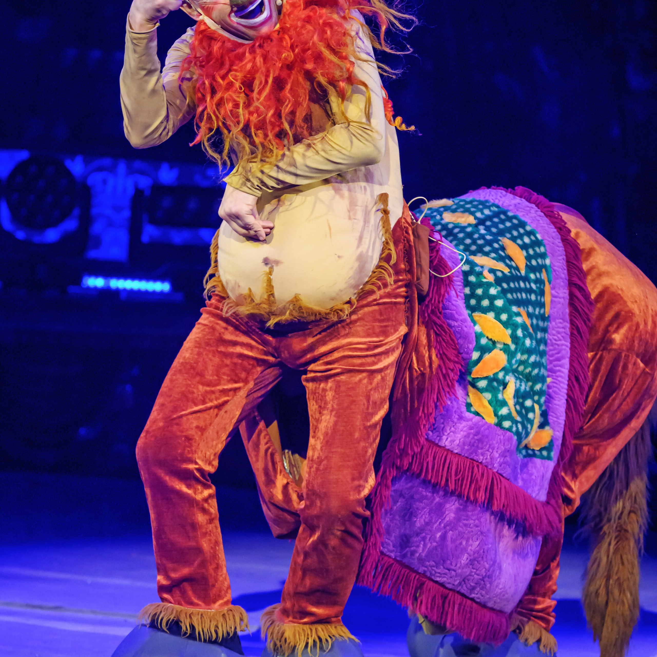 Шоу «Королевский цирк». Фотограф Андрей Пухов (Jazz)