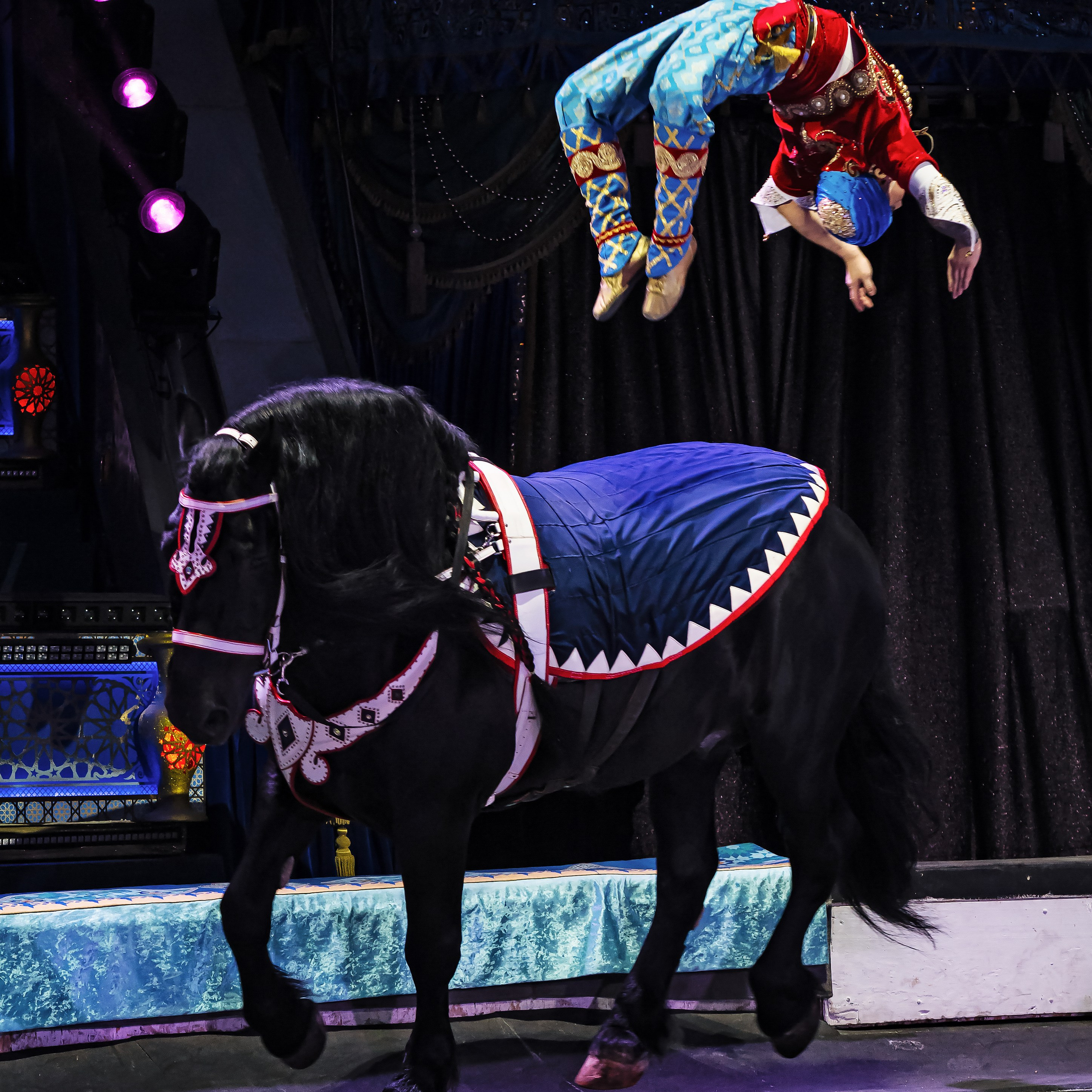 Песчаная сказка — Нижегородский Государственный Цирк (Премьера). Цирковой фотограф Андрей Пухов (Jazz)