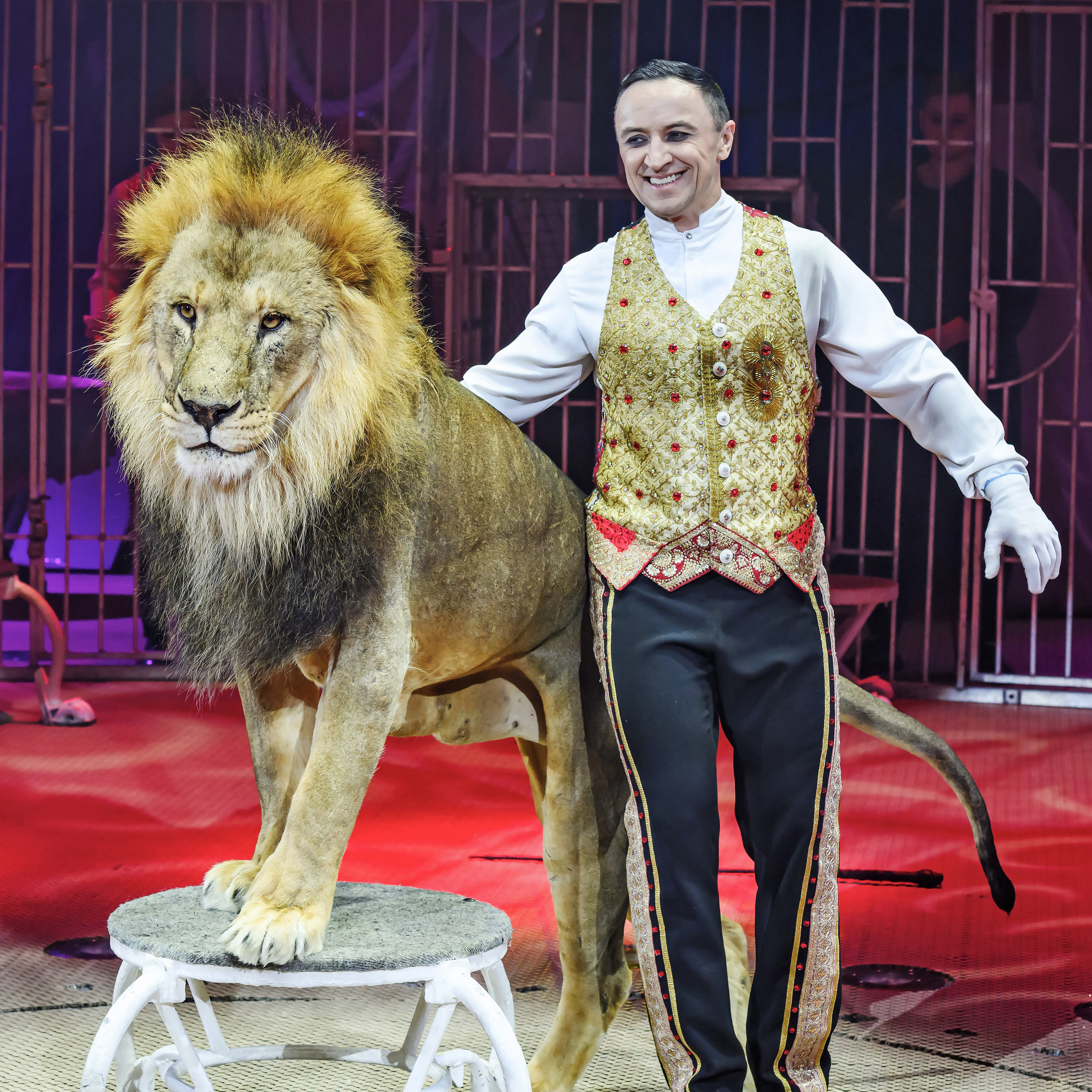 Принц Цирка (Продюсерский центр Влада Гончарова)🎪🦁. Фотограф Андрей Пухов (Jazz)