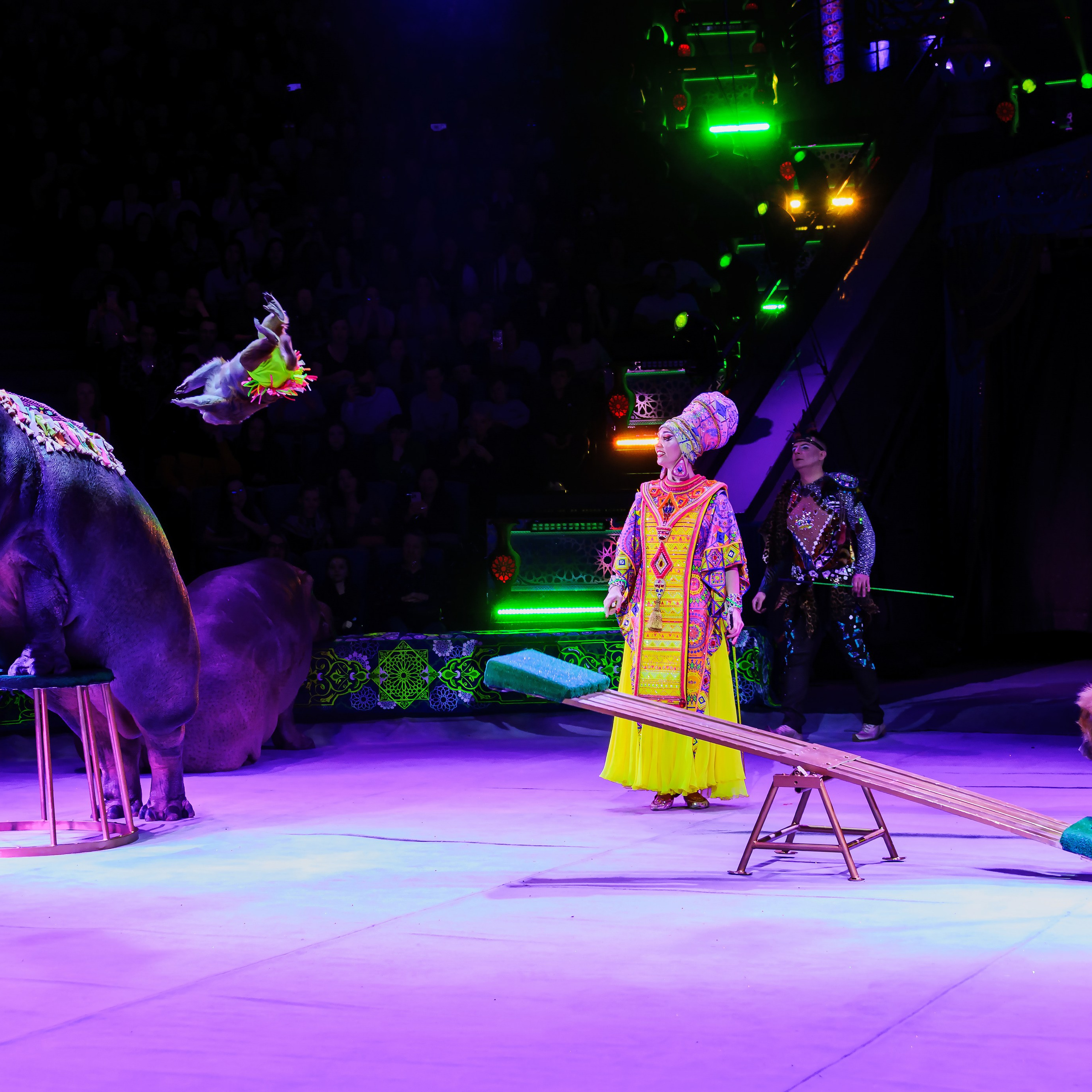 Песчаная сказка Гии Эрадзе — волшебное шоу 🎪, которое должен увидеть каждый, кто ценит красоту🌹, талант 🎭 и умение мечтать 💫. Цирковой фотограф Андрей Пухов (Jazz)