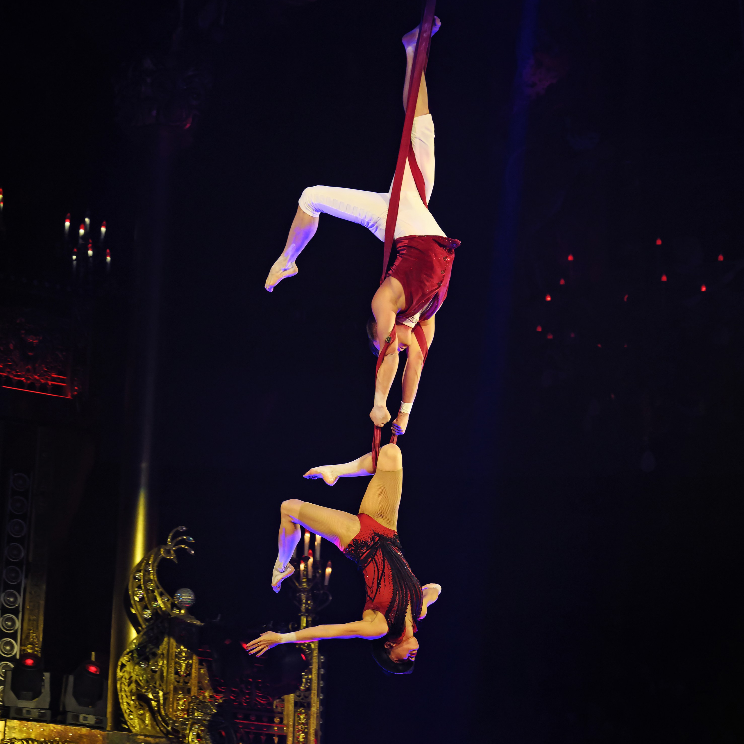 Royal Circus (новые номера). Фотограф Андрей Пухов (Jazz)