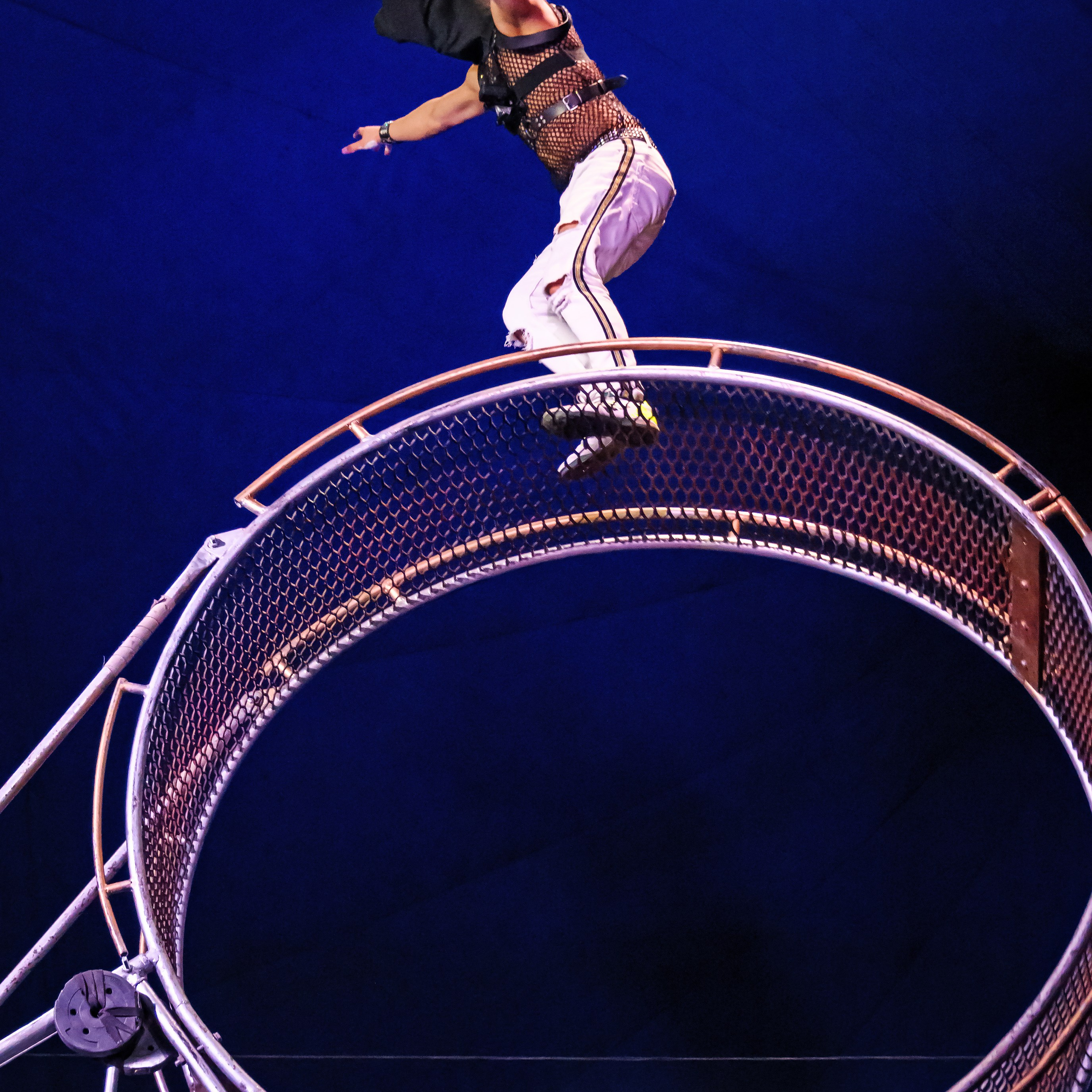 Шоу Демидовых. Цирковой фотограф Андрей Пухов (Jazz)