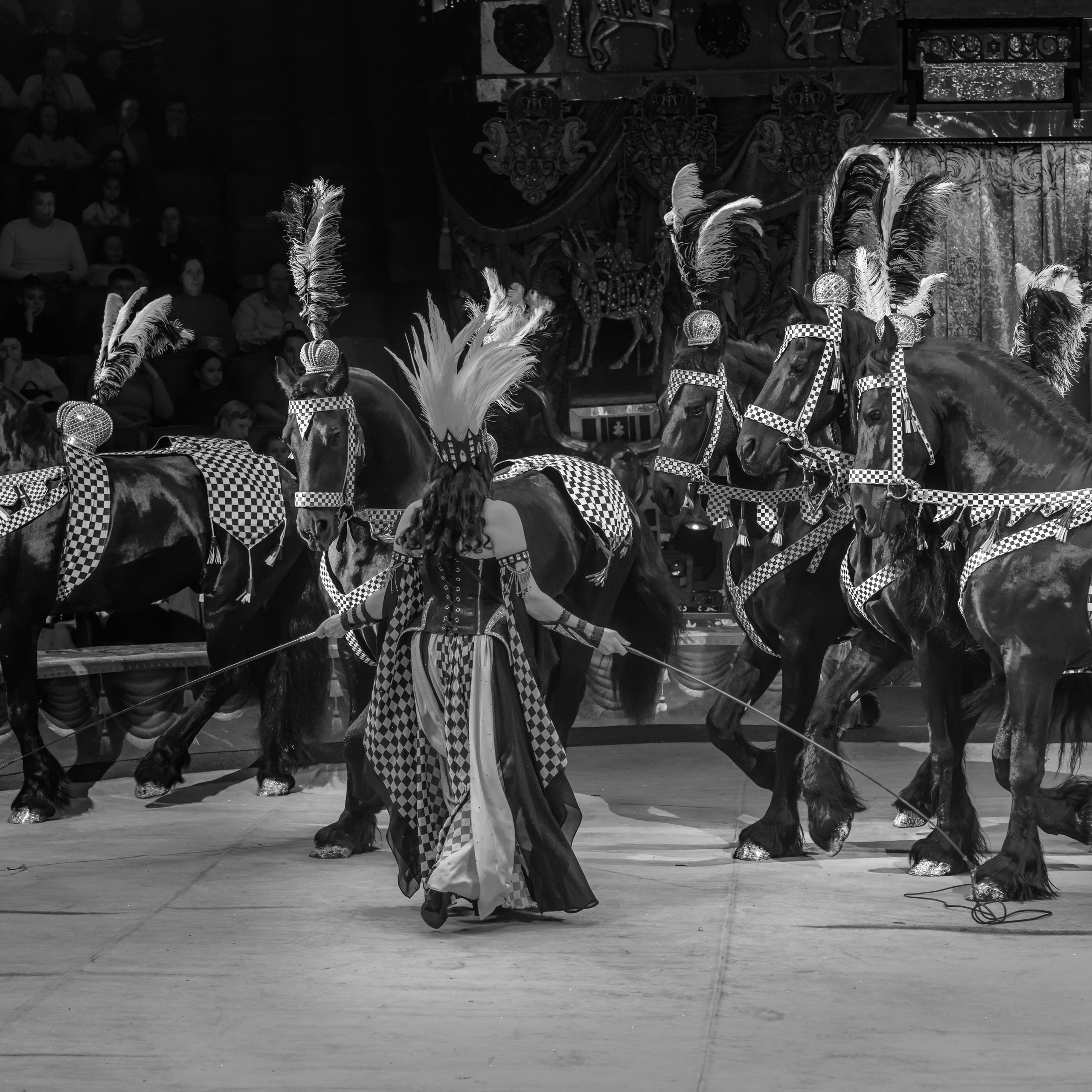 ГРАНДИОЗНОЕ ЦИРКОВОЕ ШОУ ЗАСЛУЖЕННОГО АРТИСТА РОССИИ ГИИ ЭРАДЗЕ. Фотограф Андрей Пухов (Jazz)