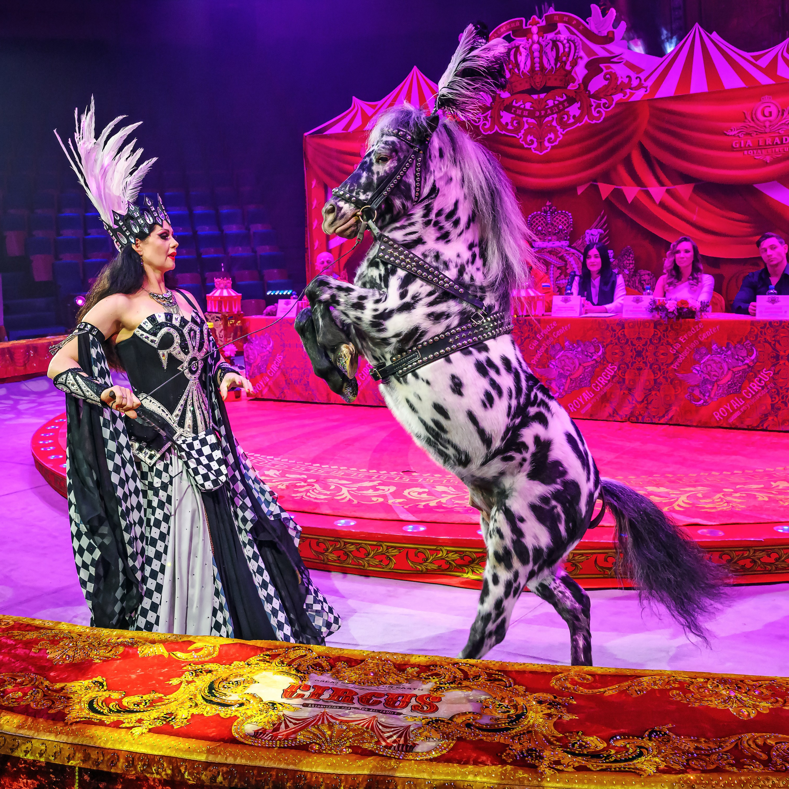 Пресс показ «Королевский цирк». Фотограф Андрей Пухов (Jazz)