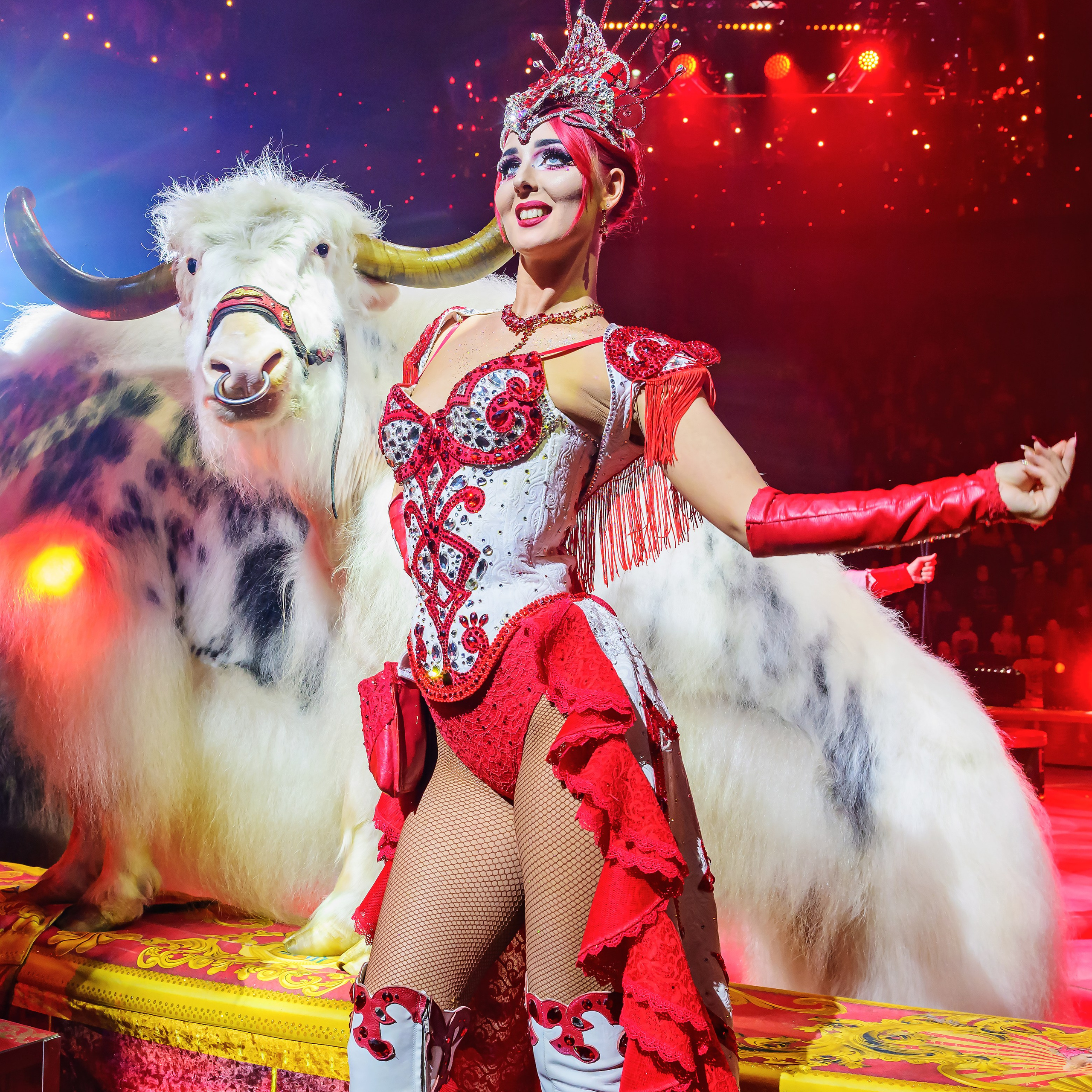 Royal Circus (новые номера). Фотограф Андрей Пухов (Jazz)