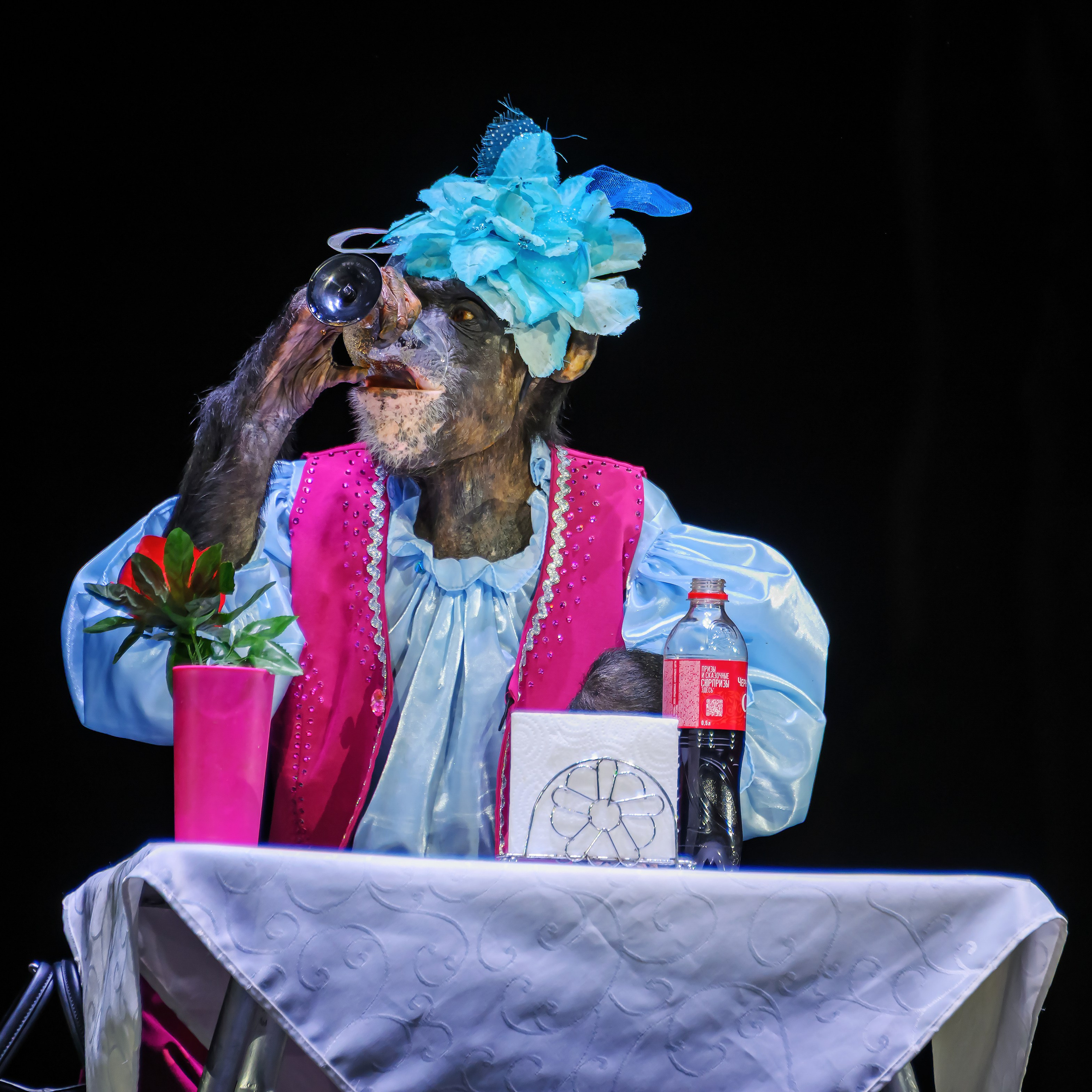 🎪 «Цирк на воде💦 🏰Царство фонтанов**»✨🌊🎭. Фотограф Андрей Пухов (Jazz)