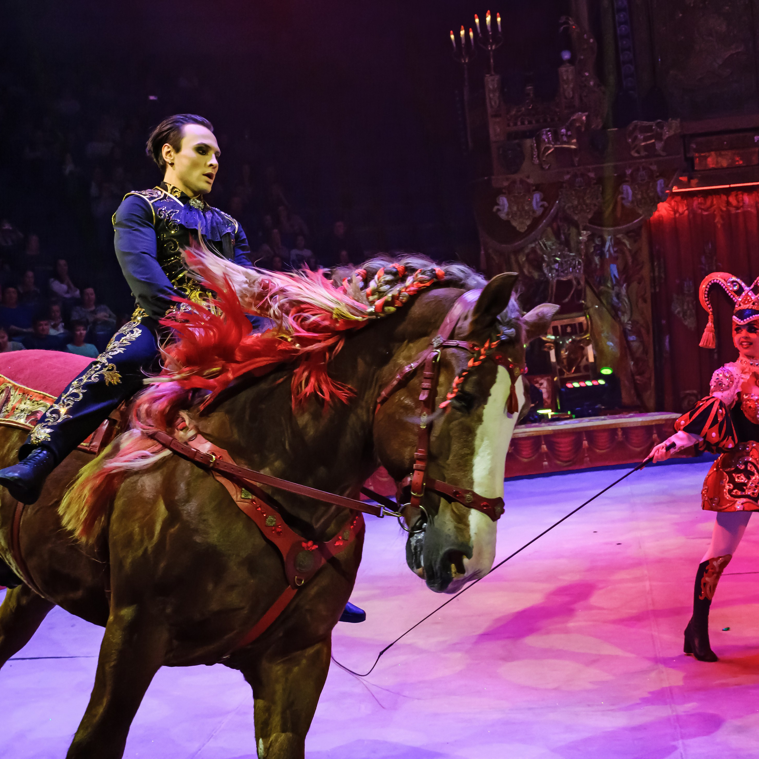 Royal Circus (новые номера). Фотограф Андрей Пухов (Jazz)