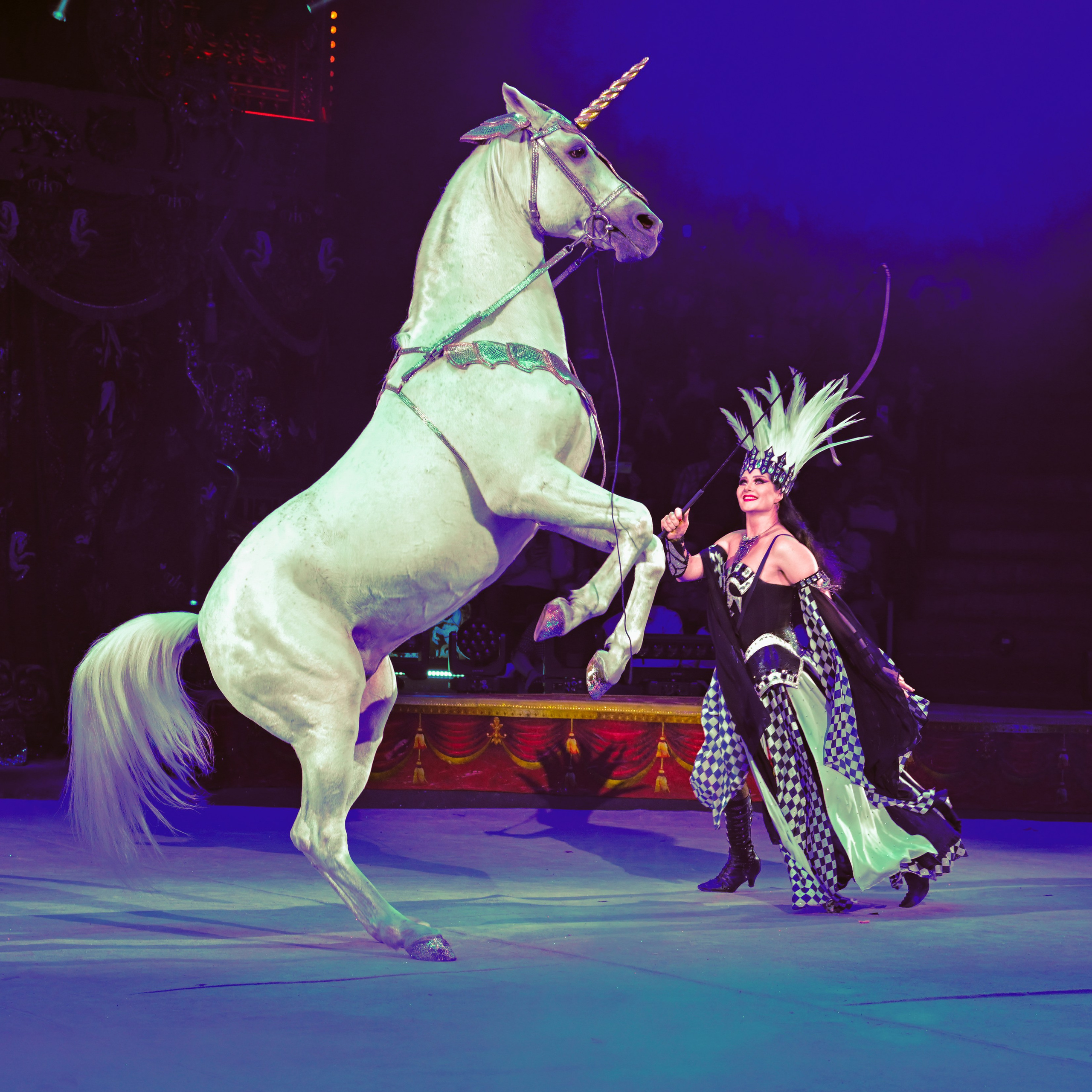 Шоу «Королевский цирк». Фотограф Андрей Пухов (Jazz)