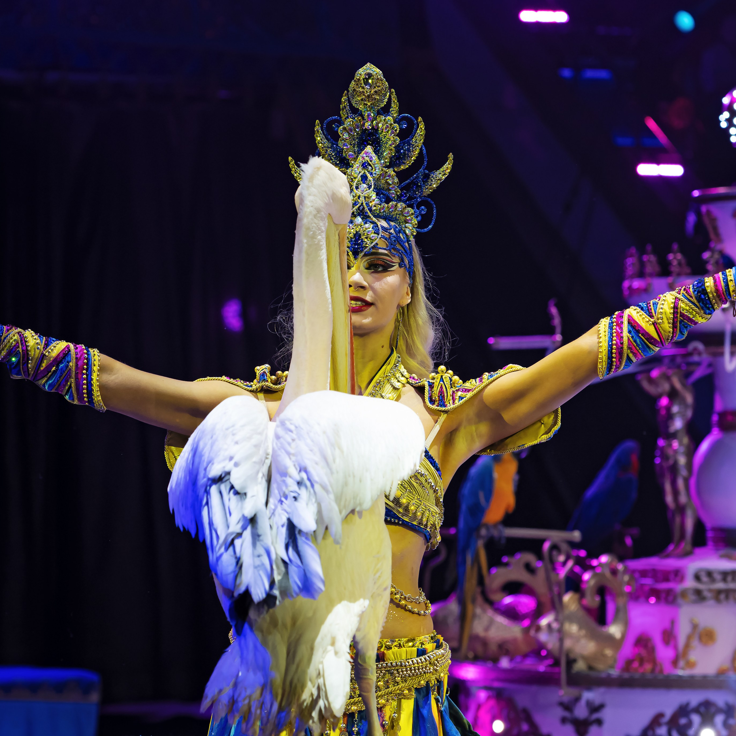 Песчаная сказка — Нижегородский Государственный Цирк (Премьера). Цирковой фотограф Андрей Пухов (Jazz)