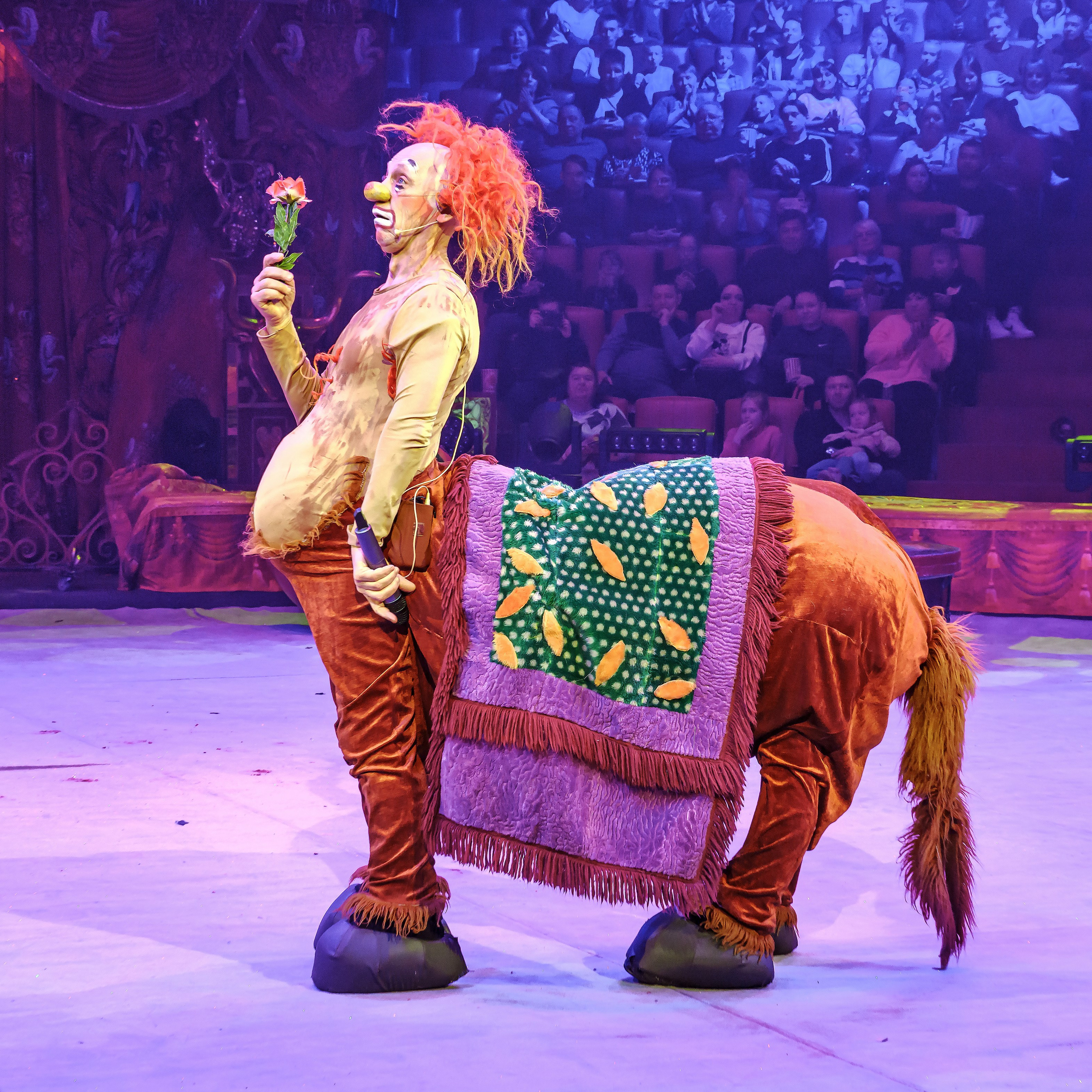 Шоу «Королевский цирк». Фотограф Андрей Пухов (Jazz)