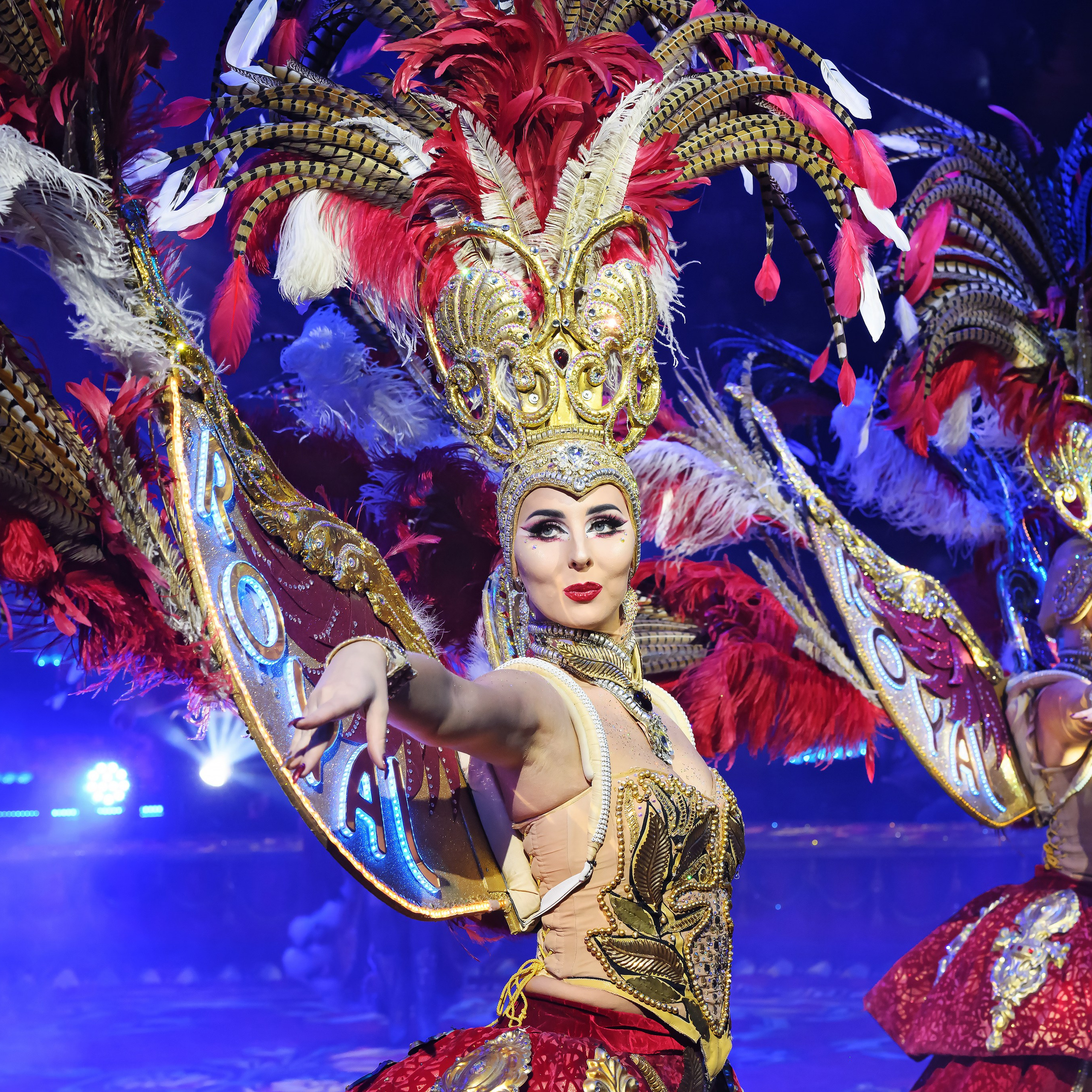 ГРАНДИОЗНОЕ ЦИРКОВОЕ ШОУ ЗАСЛУЖЕННОГО АРТИСТА РОССИИ ГИИ ЭРАДЗЕ. Фотограф Андрей Пухов (Jazz)