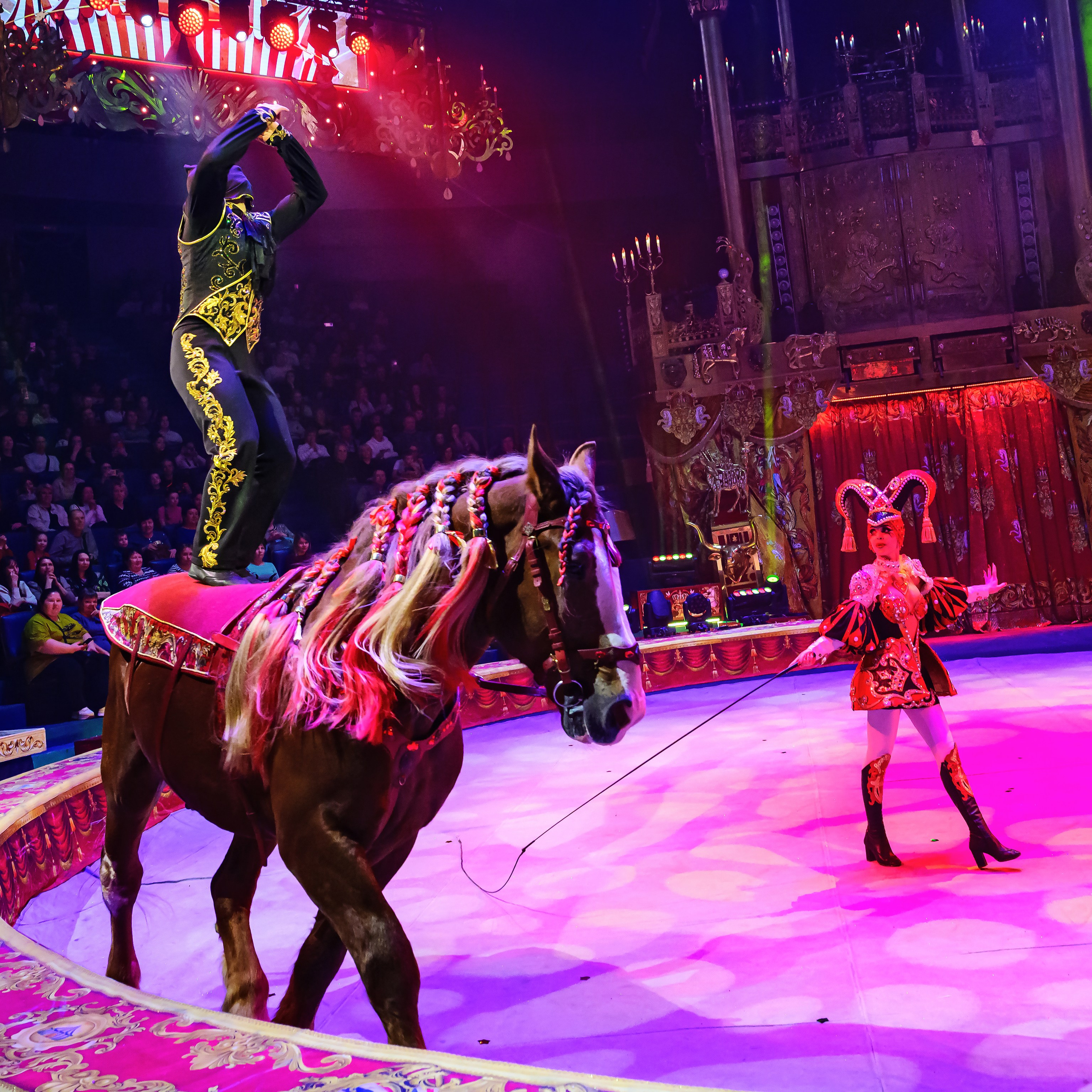 Royal Circus (новые номера). Фотограф Андрей Пухов (Jazz)