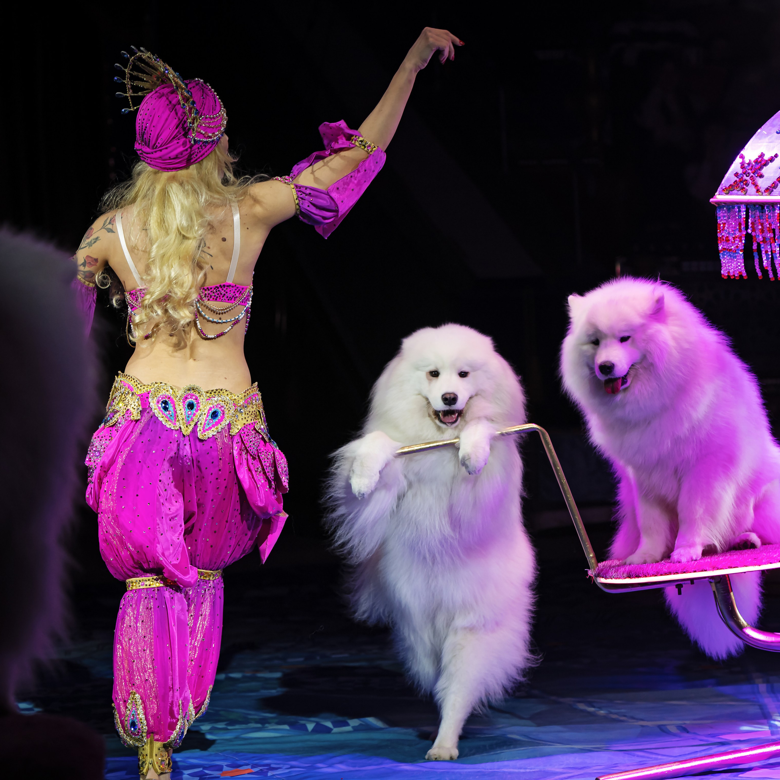 Песчаная сказка — Нижегородский Государственный Цирк (Премьера). Цирковой фотограф Андрей Пухов (Jazz)