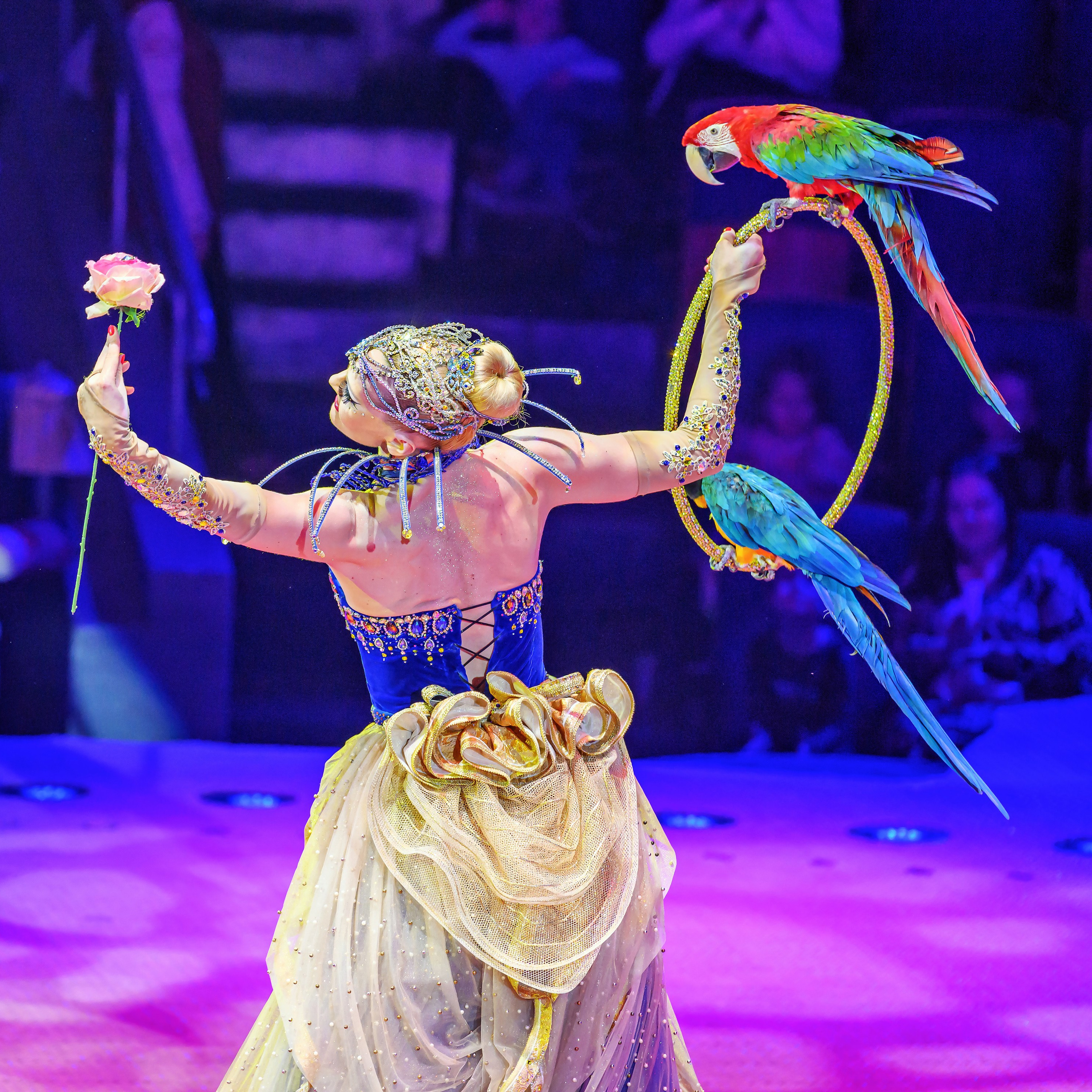 Принц Цирка (Продюсерский центр Влада Гончарова)🎪🦁. Фотограф Андрей Пухов (Jazz)