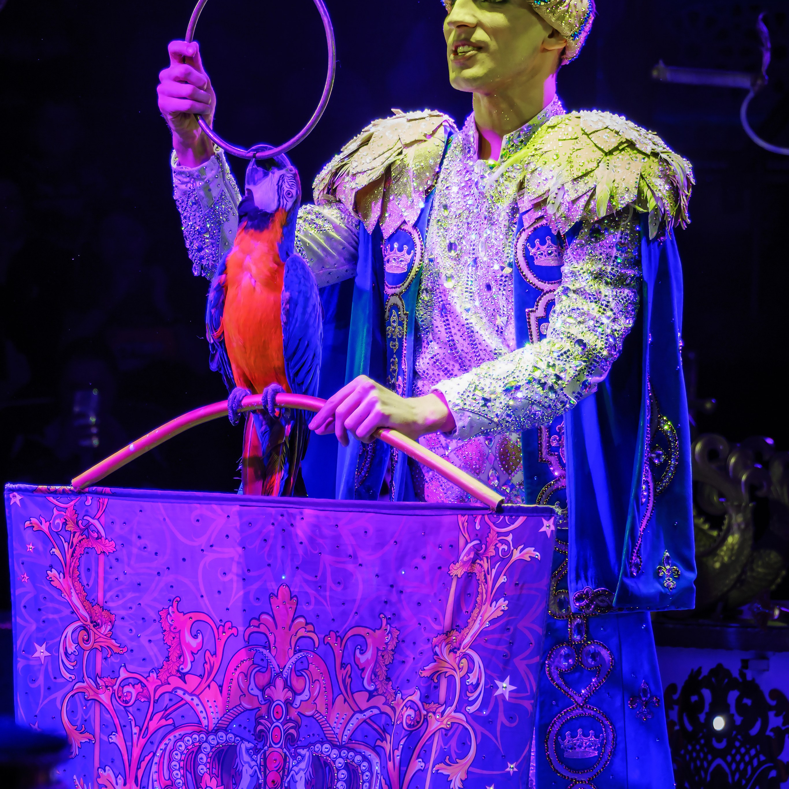 Песчаная сказка Гии Эрадзе — волшебное шоу 🎪, которое должен увидеть каждый, кто ценит красоту🌹, талант 🎭 и умение мечтать 💫. Цирковой фотограф Андрей Пухов (Jazz)