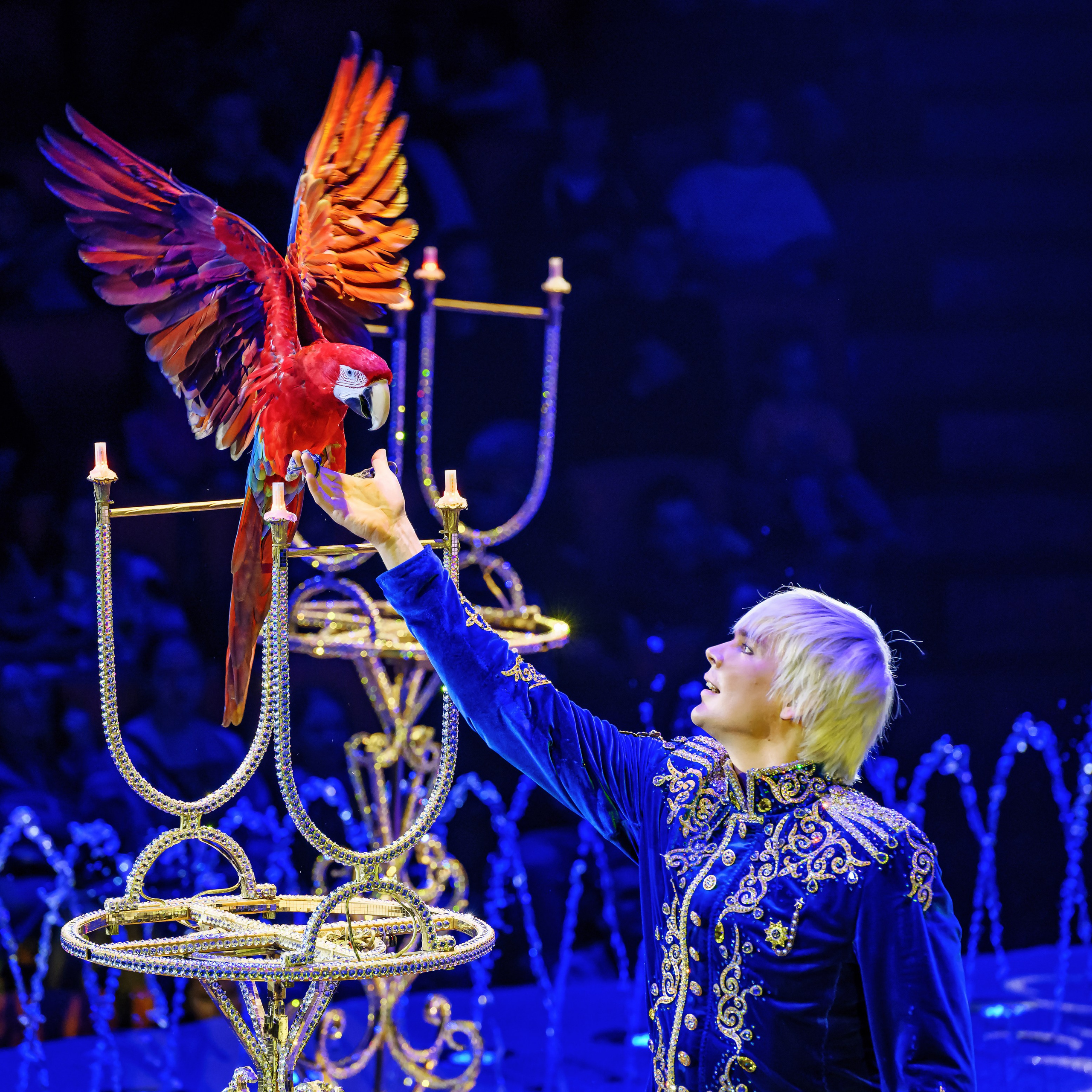 Принц Цирка (Продюсерский центр Влада Гончарова)🎪🦁. Фотограф Андрей Пухов (Jazz)