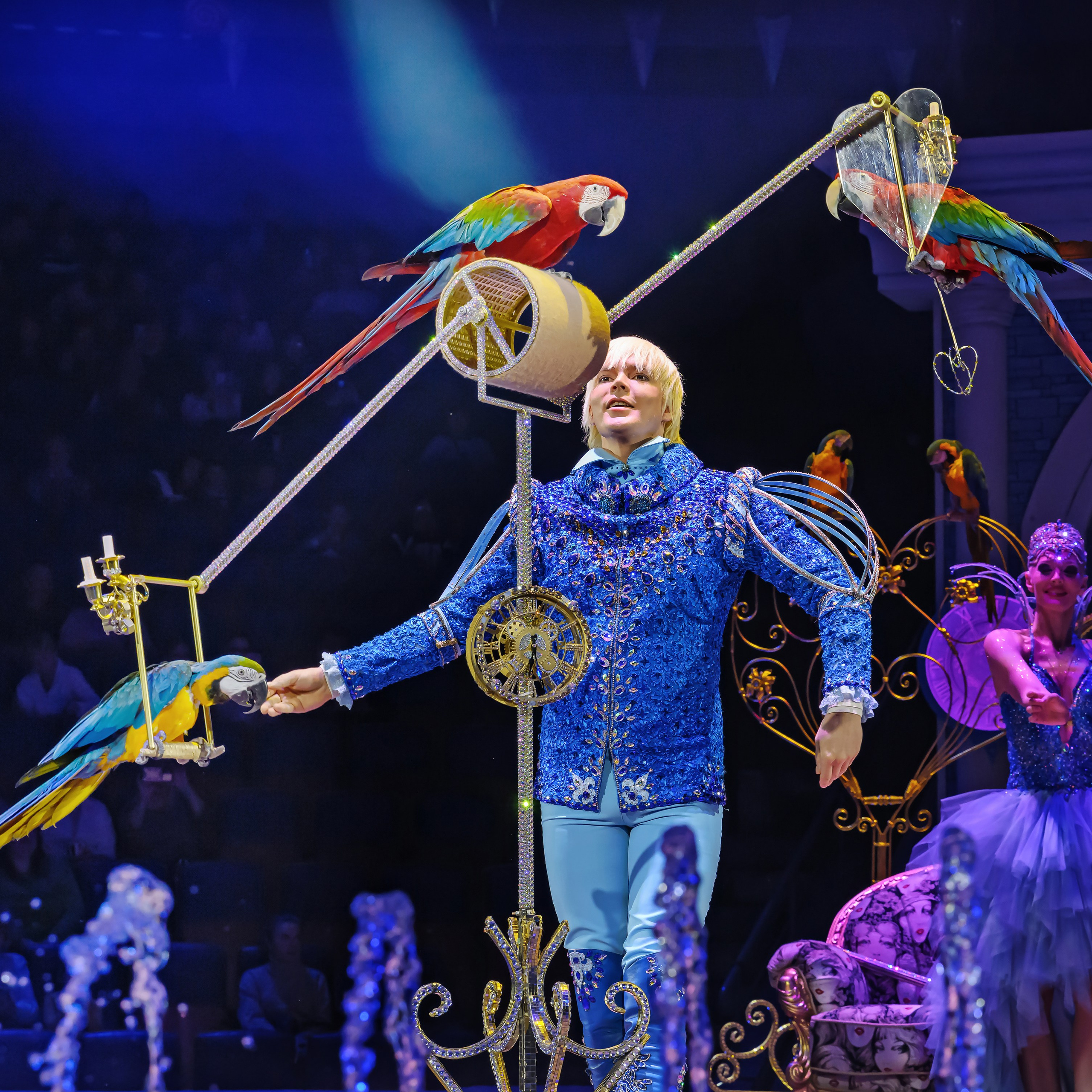 «13 месяцев. Шоу ледяных фонтанов»❄💙. Фотограф Андрей Пухов (Jazz)