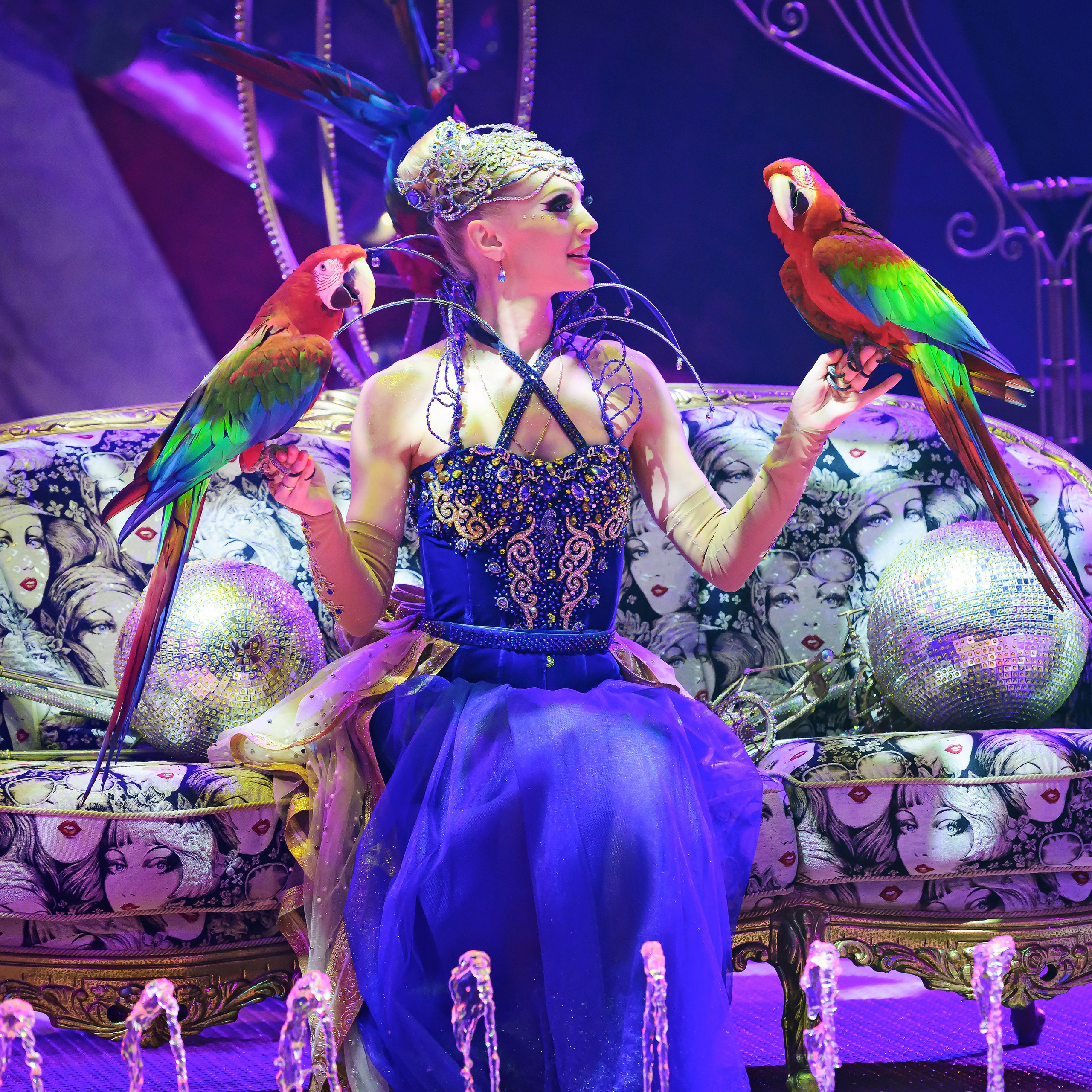 Принц Цирка (Продюсерский центр Влада Гончарова)🎪🦁. Фотограф Андрей Пухов (Jazz)